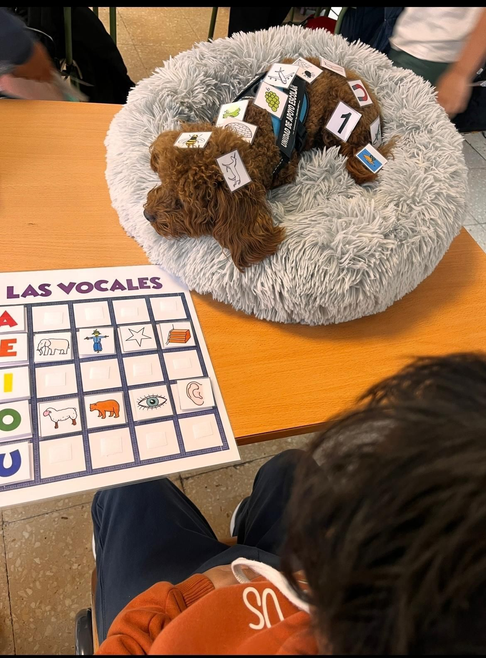 Proxecto Botón no colexio de Seixalbo