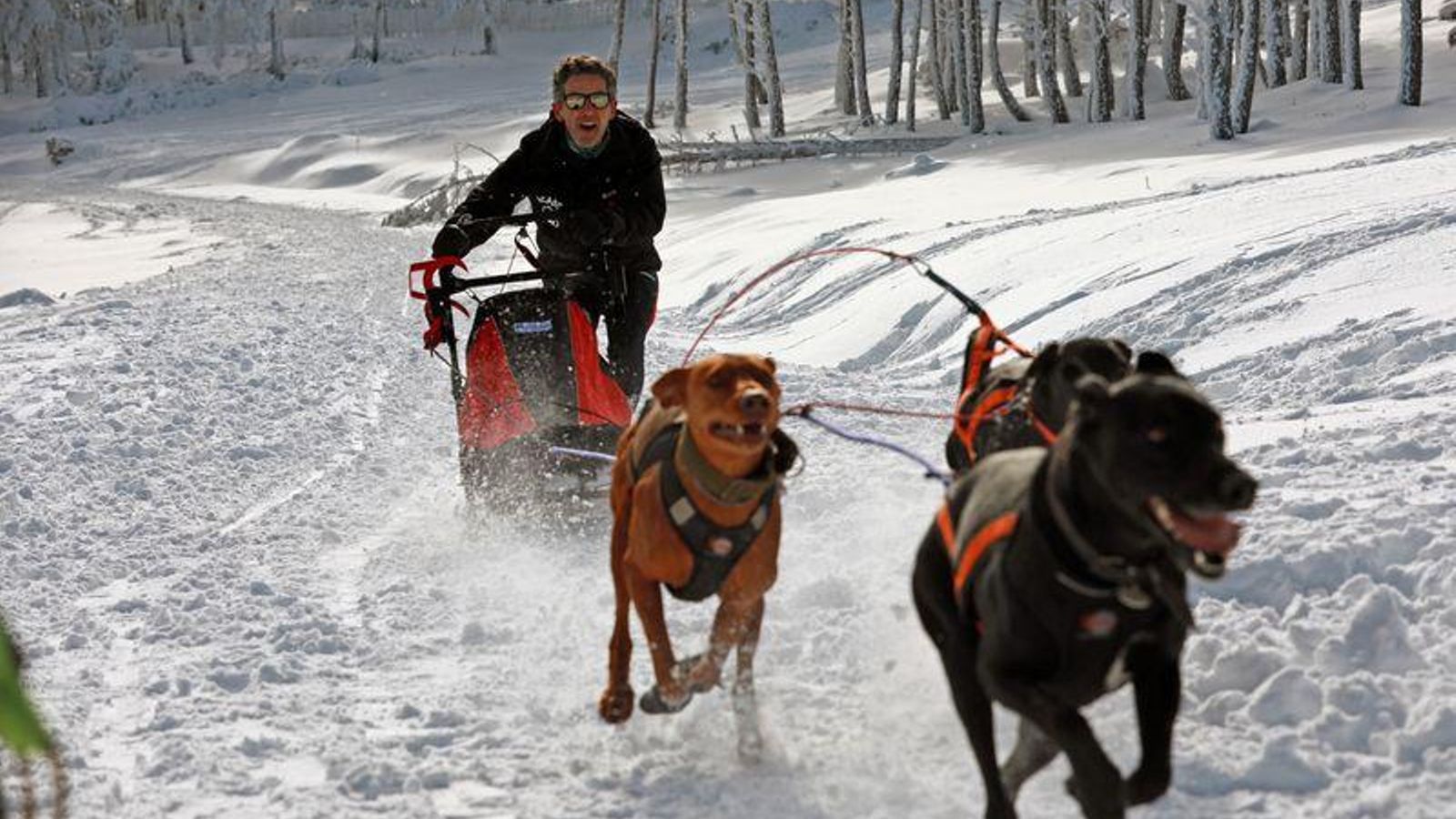 MANZANEDA 2/01/2021.- Jornada lúdica en la nieve en una estación cerrada. José Paz