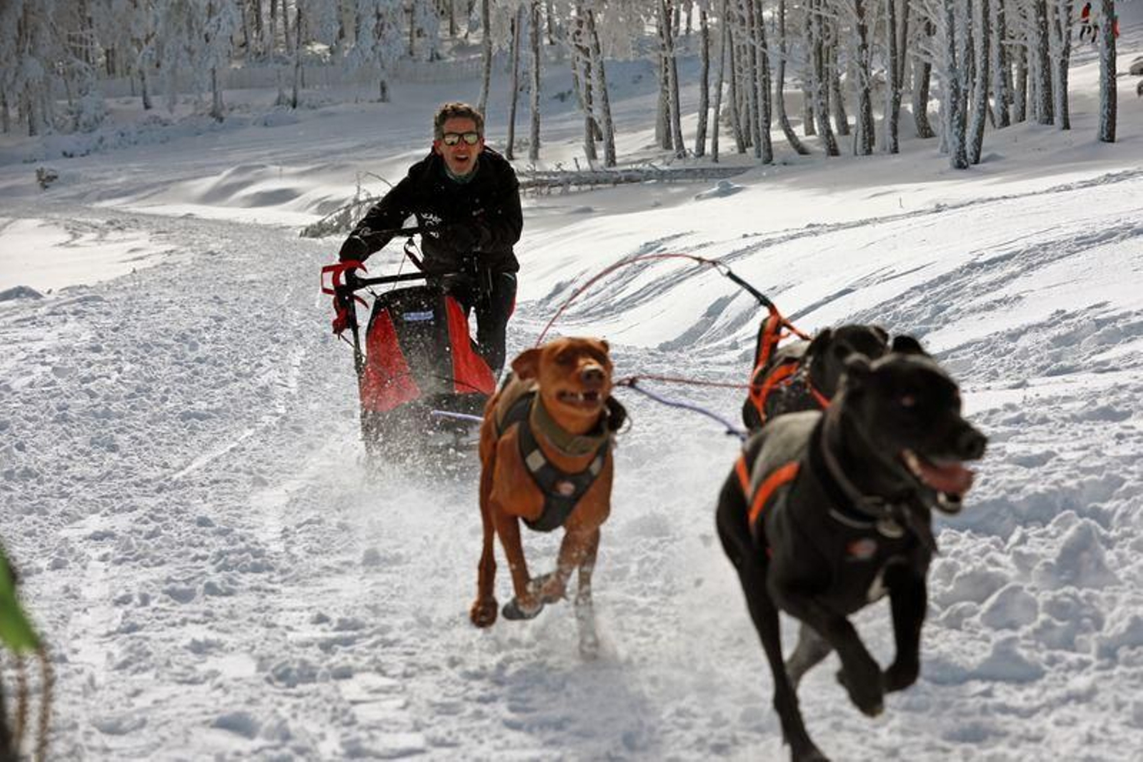 Una jornada en la nieve en Manzaneda (JOSÉ PAZ)