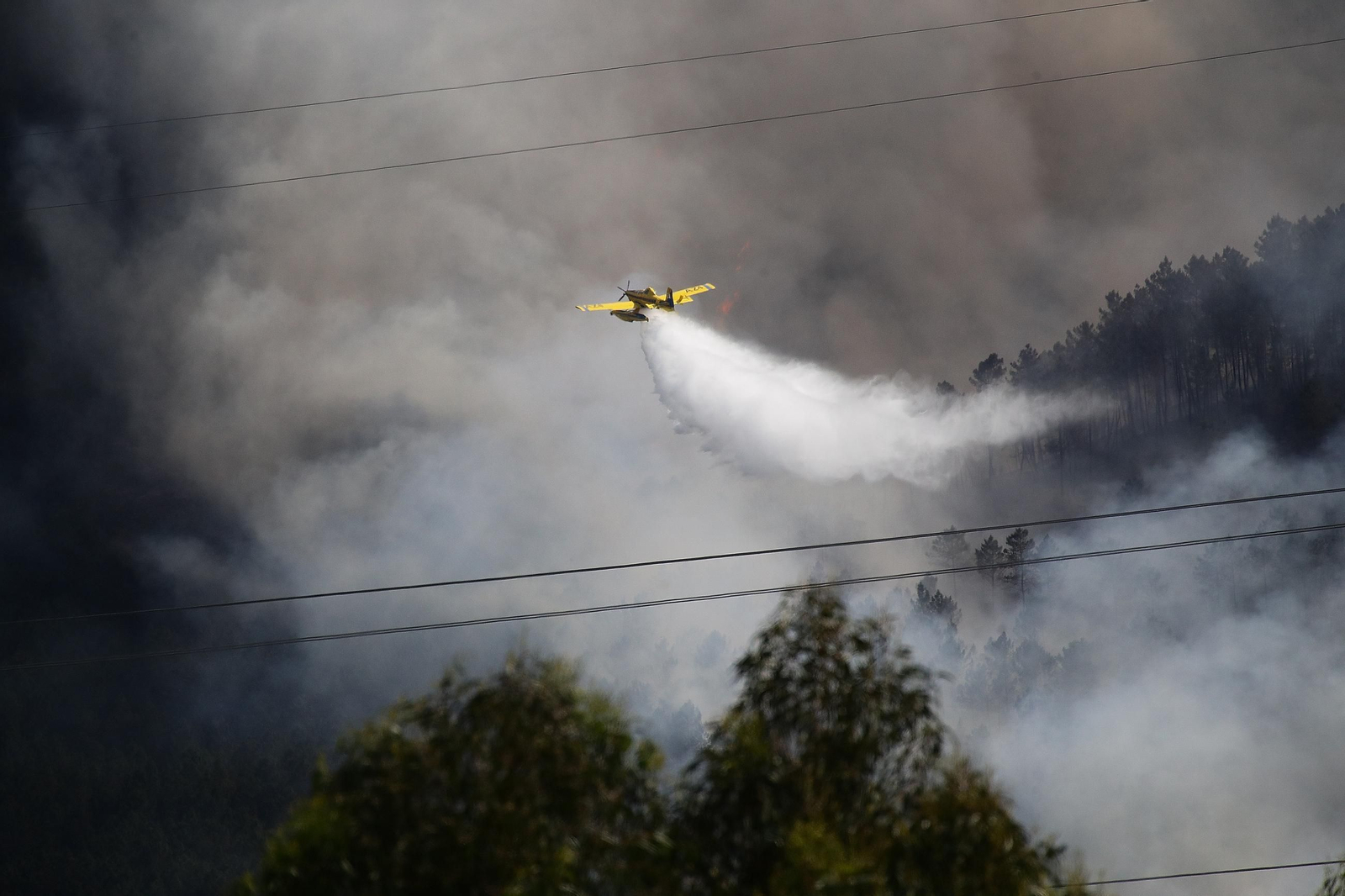 Galería | El primer gran incendio de la provincia en 2026 cerca Boborás