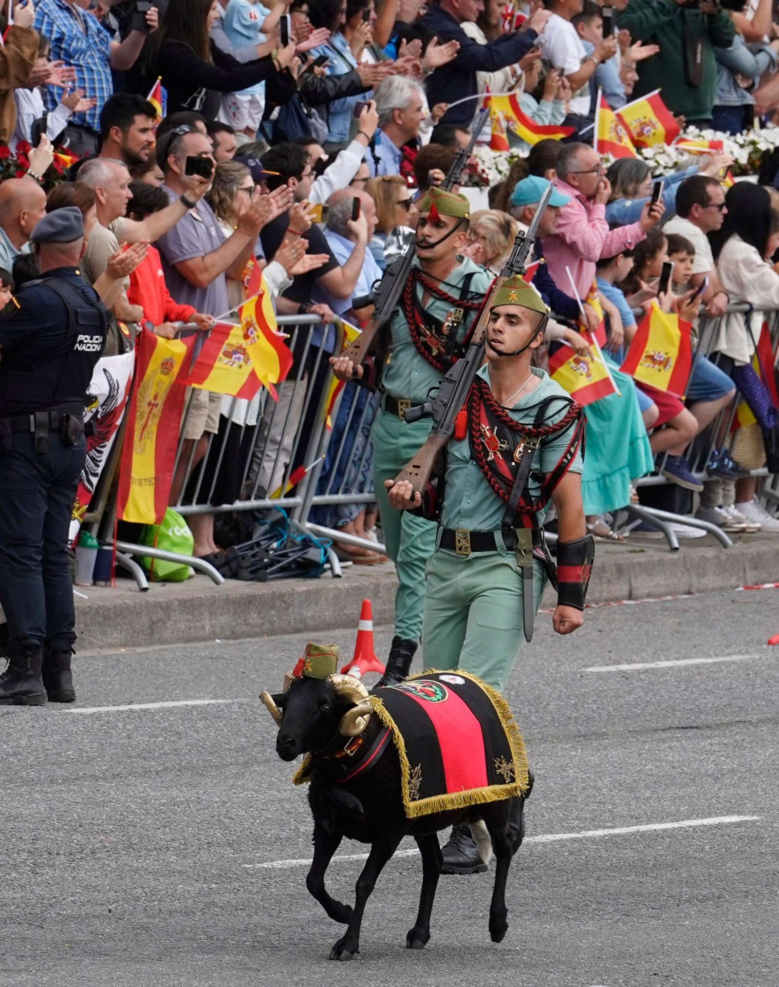 Galería | Las mejores imágenes del histórico Día de las Fuerzas Armadas en Vigo