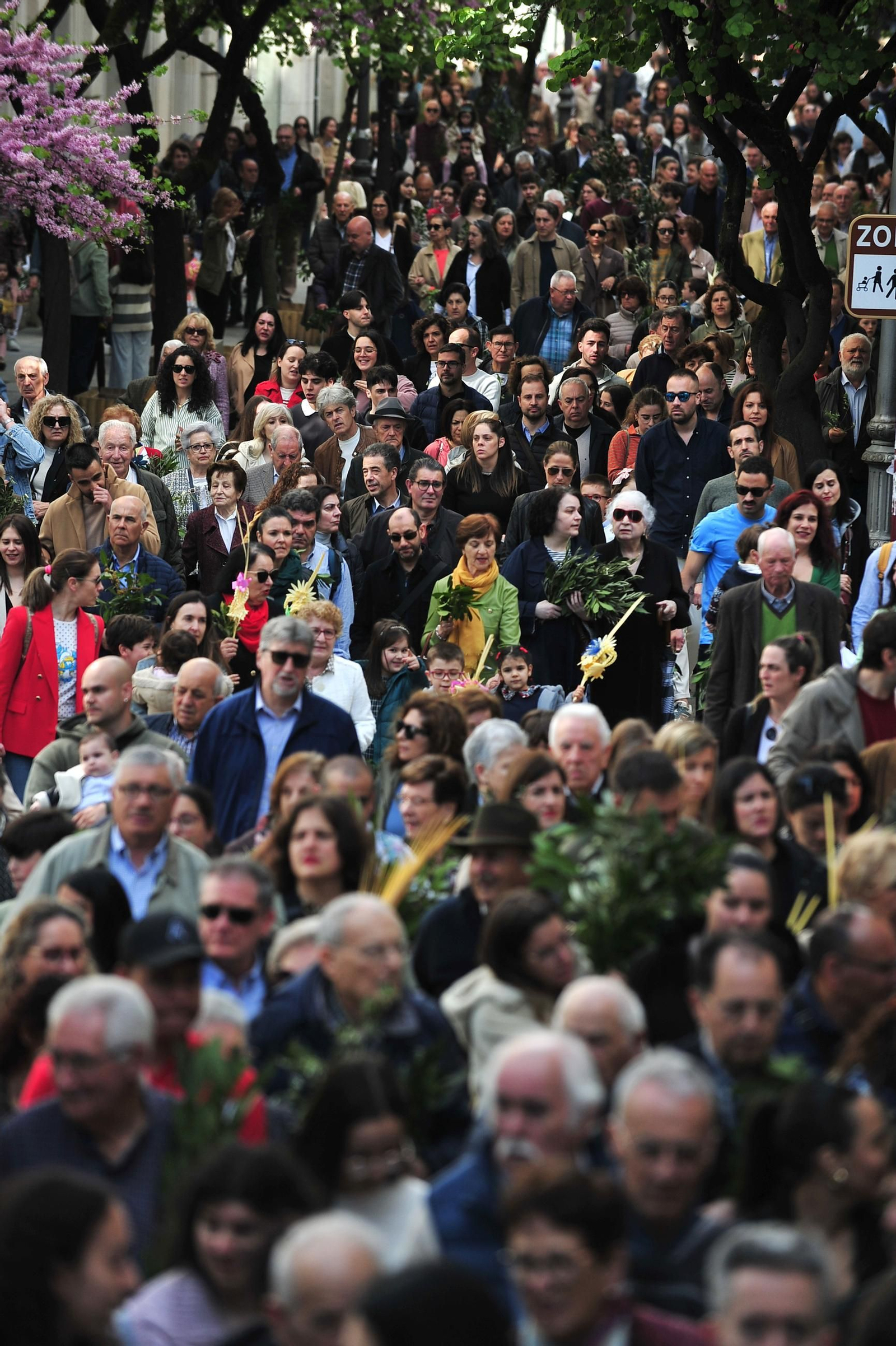 Galería | El Domingo de Ramos, primera gran muestra de devoción popular en Ourense