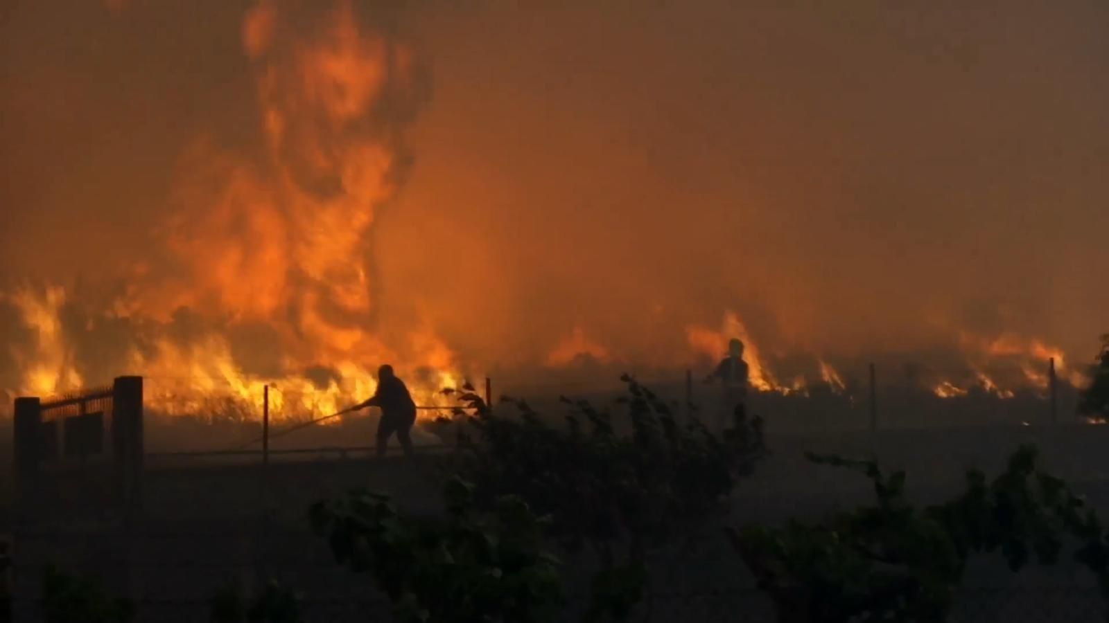 El incendio forestal en Monforte de Lemos _ Alberte12