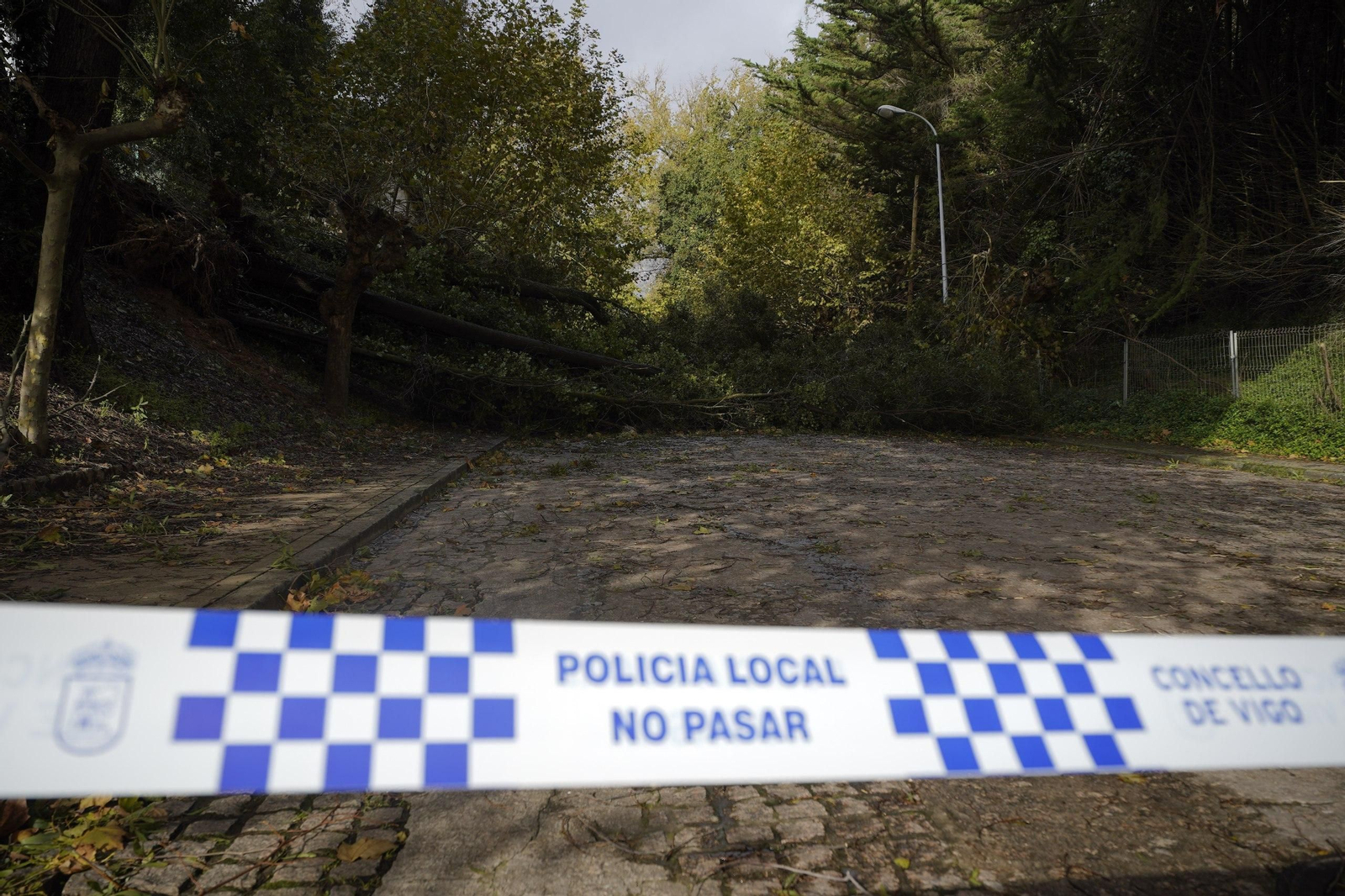 Caída de árboles que bloqueó el paso en la ETEA.