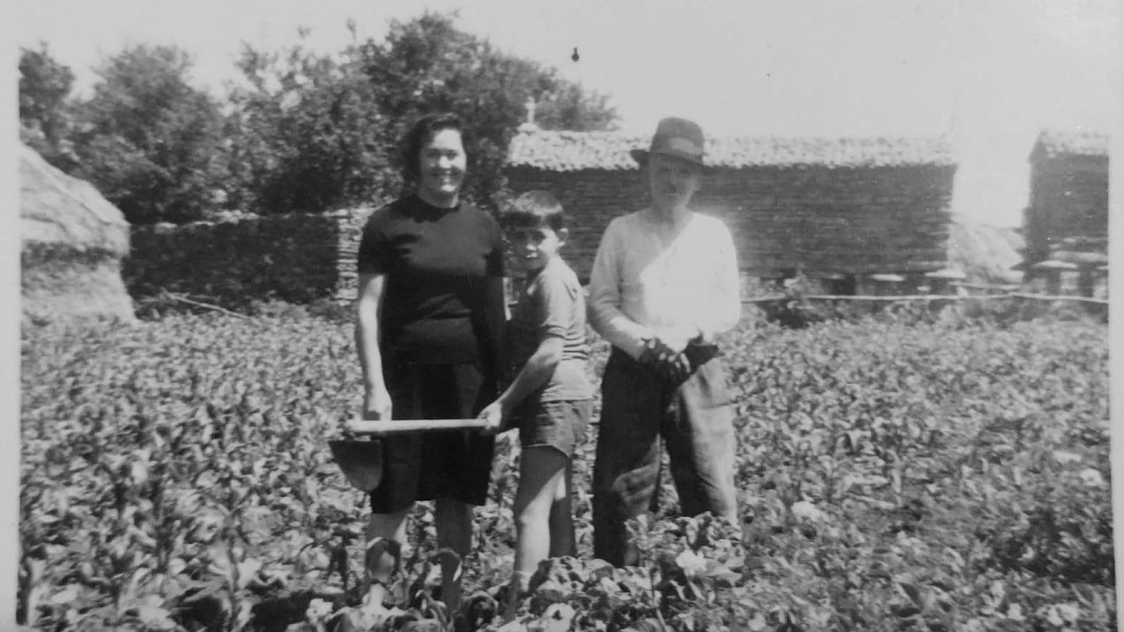 Año 1966, en Xora, la aldea de su padre, en una leira, con un sacho en mano, con su madre y su abuelo paterno, José