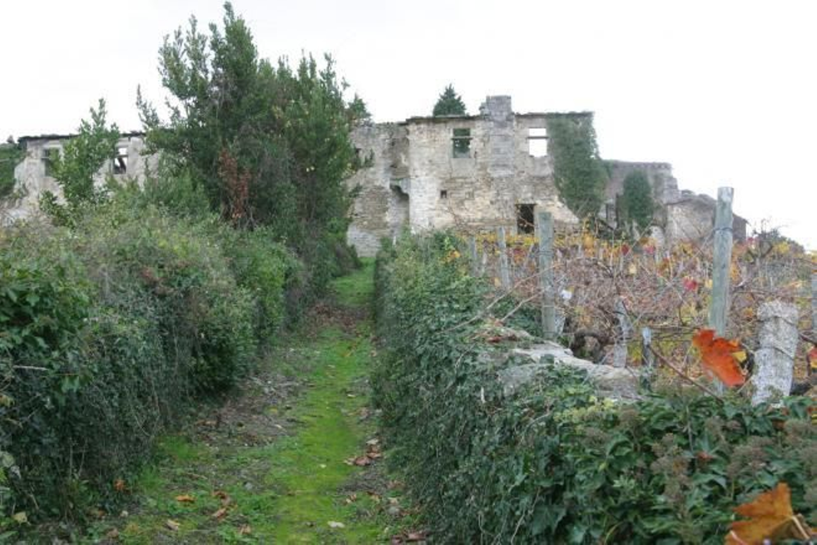 Deterioro del Monasterio de San Paio de Abeleda
