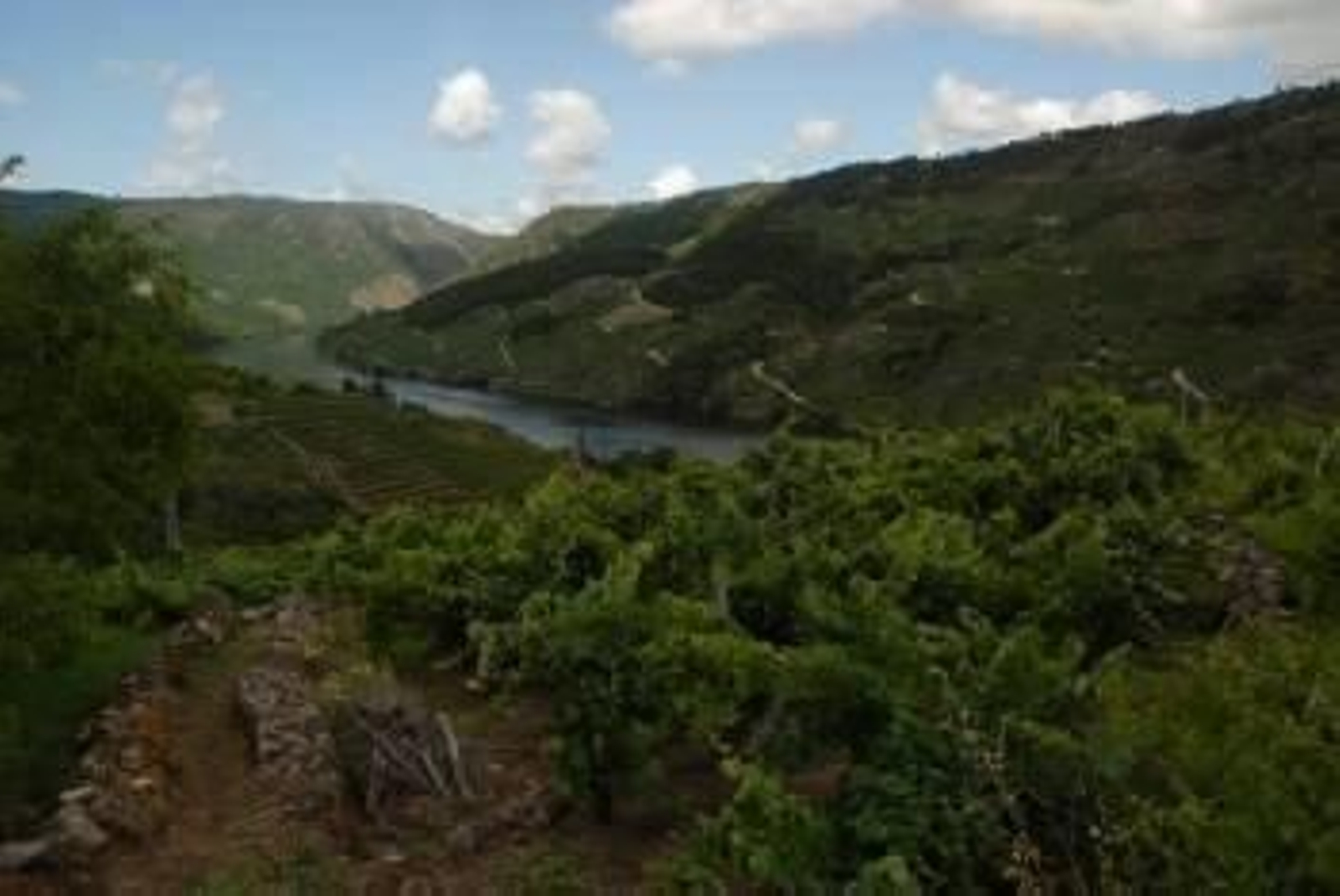 Ribeira Sacra 10