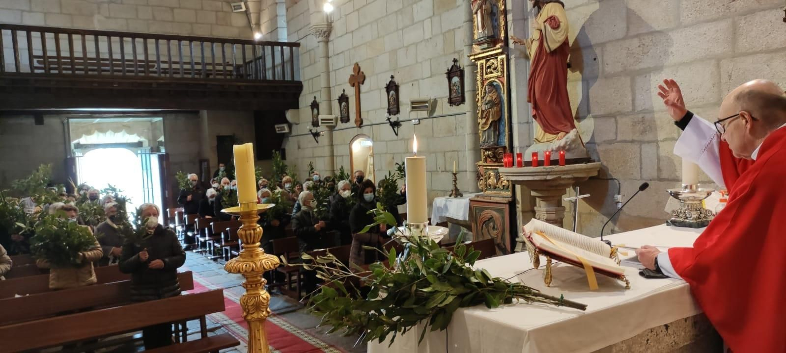 Celebración del Domingo de Ramos