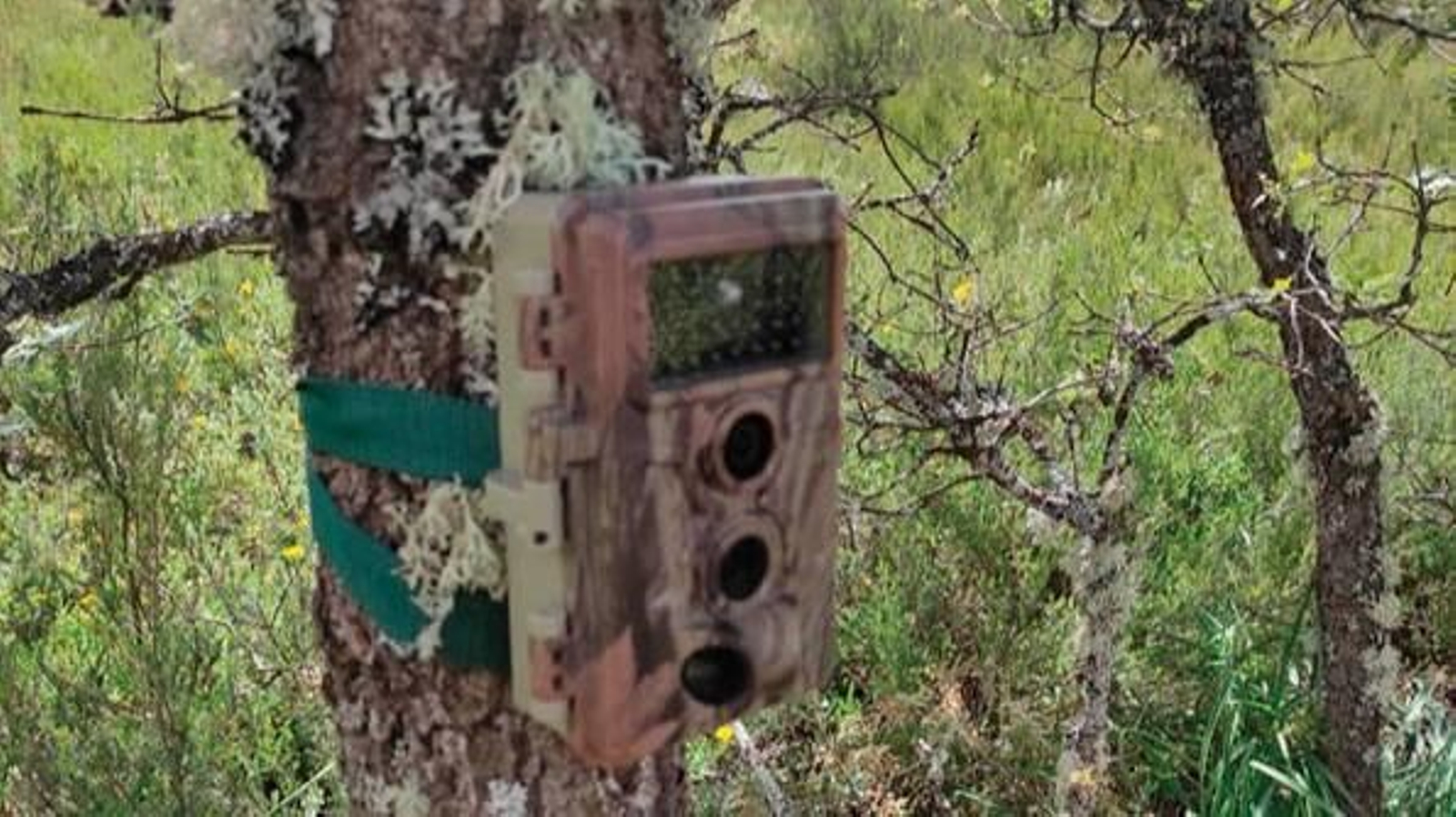 Cámara fotográfica colocada en un colmenar valdeorrés.