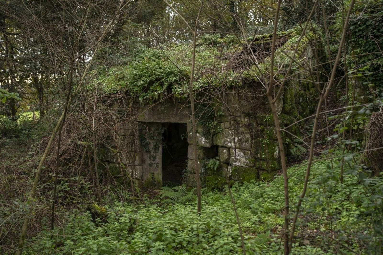Las casas abandonadas en donde pudo haber pasado la noche la víctima.