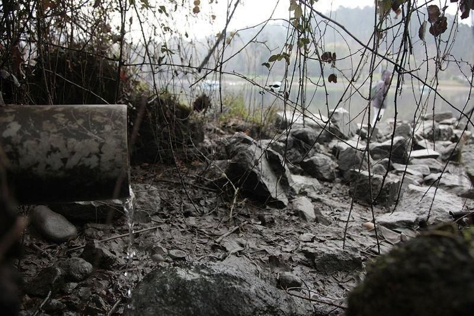 ma_2020_01_28_10895_resultado