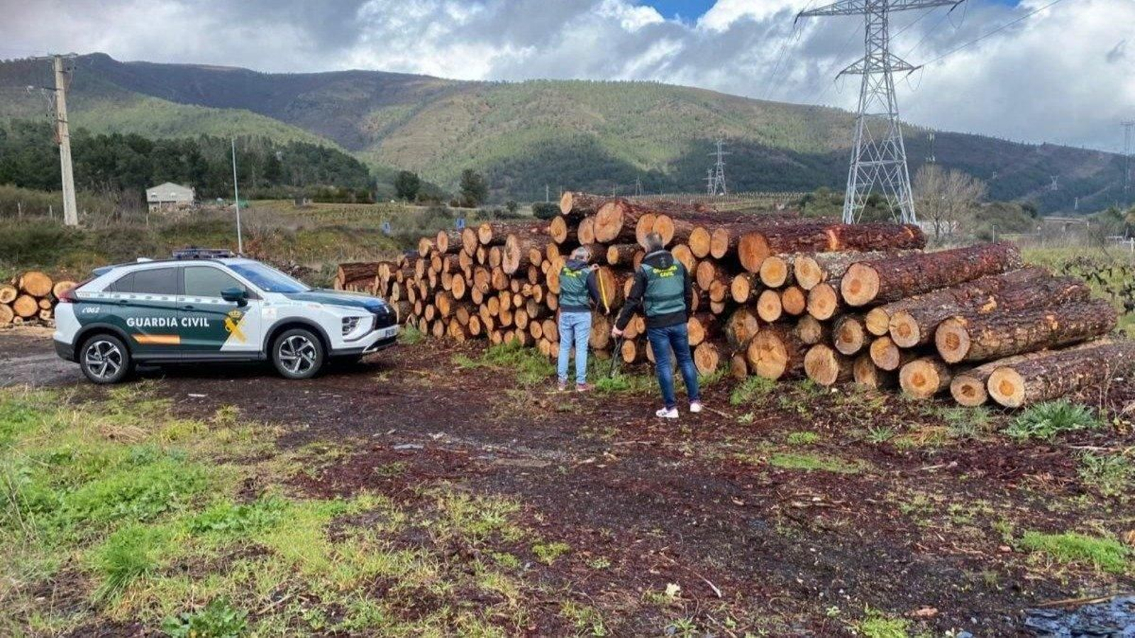 Agentes de la Guardia Civil, con parte de la madera talada de forma ilegal.