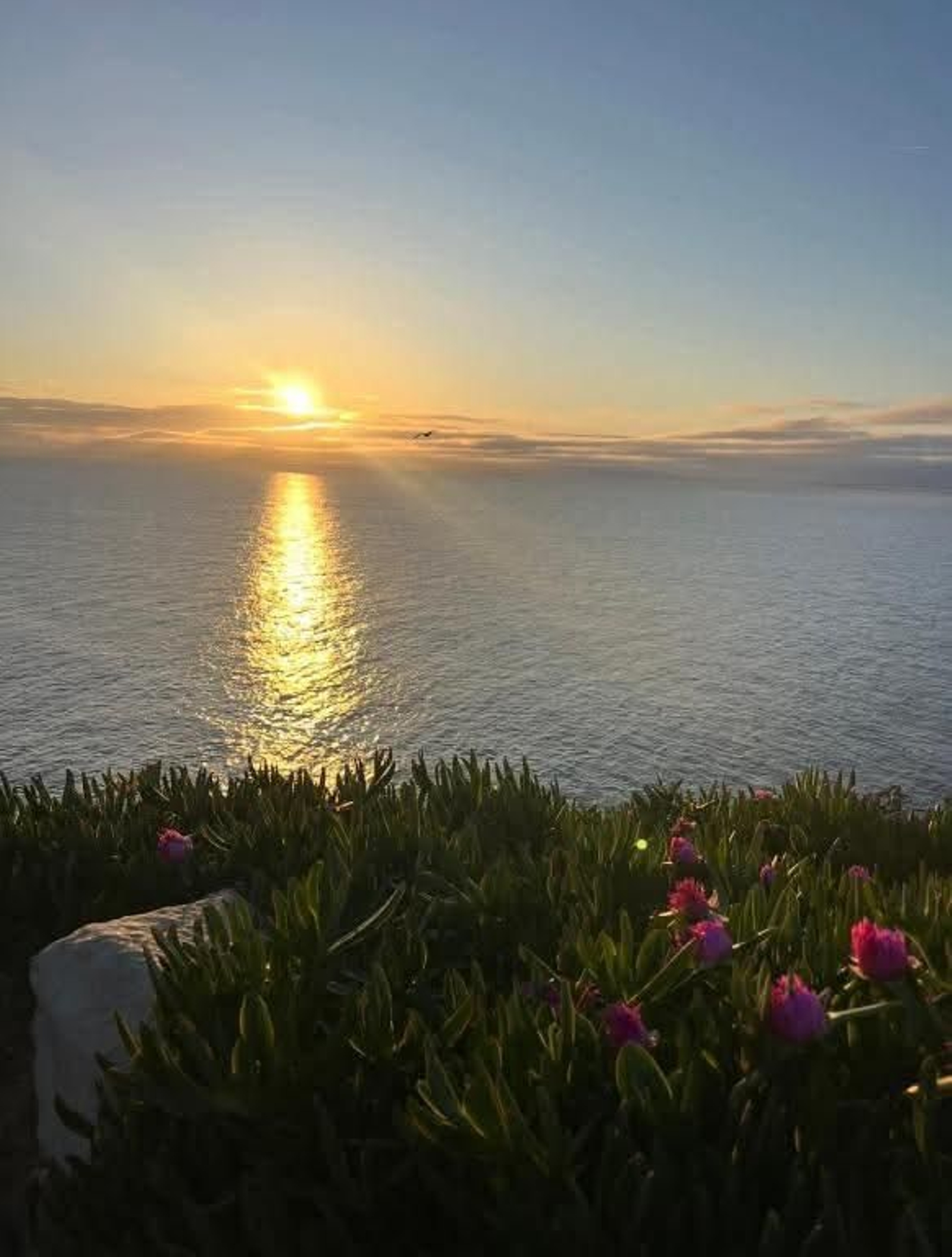 Sábado 8 de agosto — Un buen amanecer