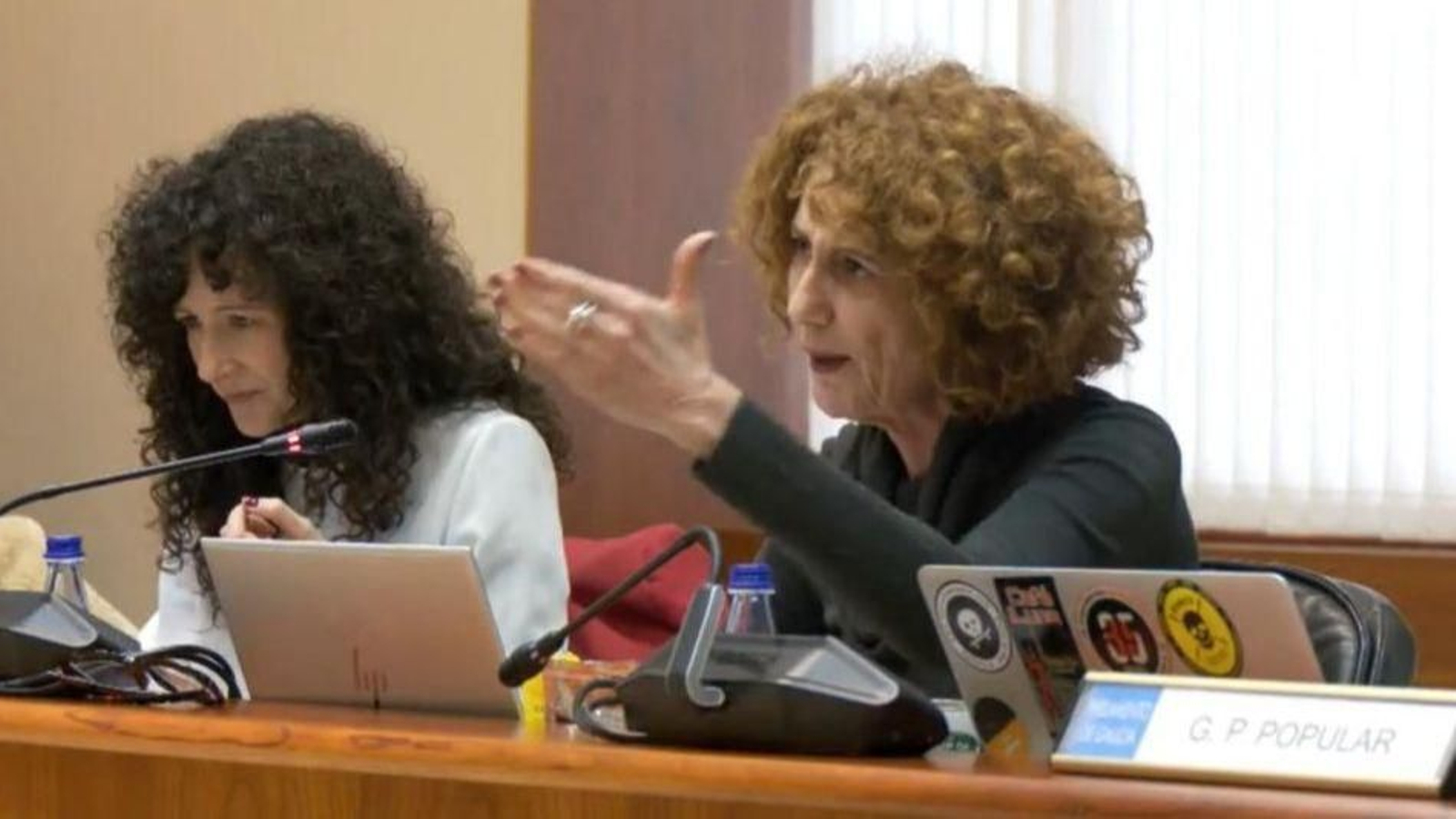 La diputada Dolores Hermelo en su intervención.