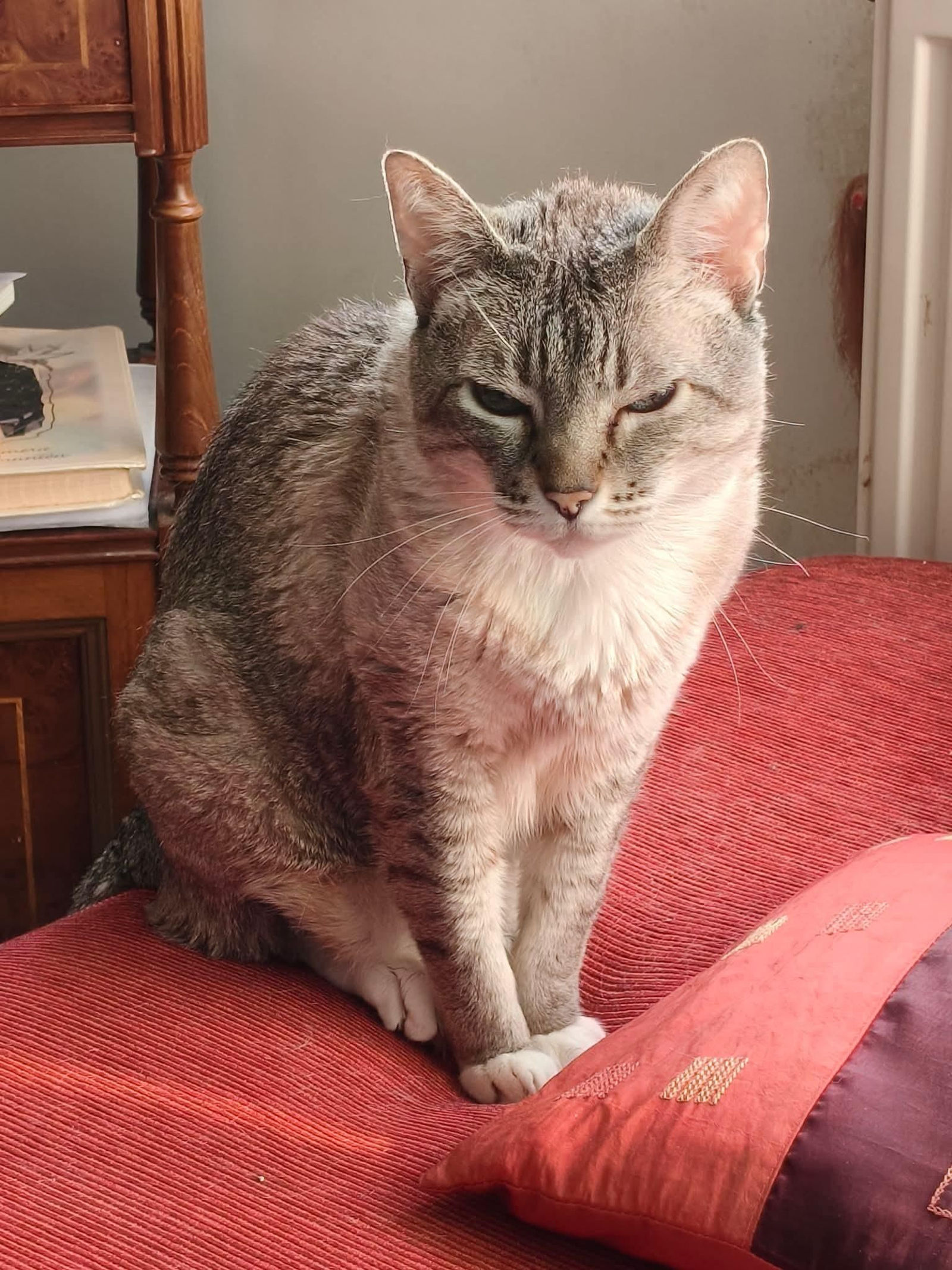 Linda