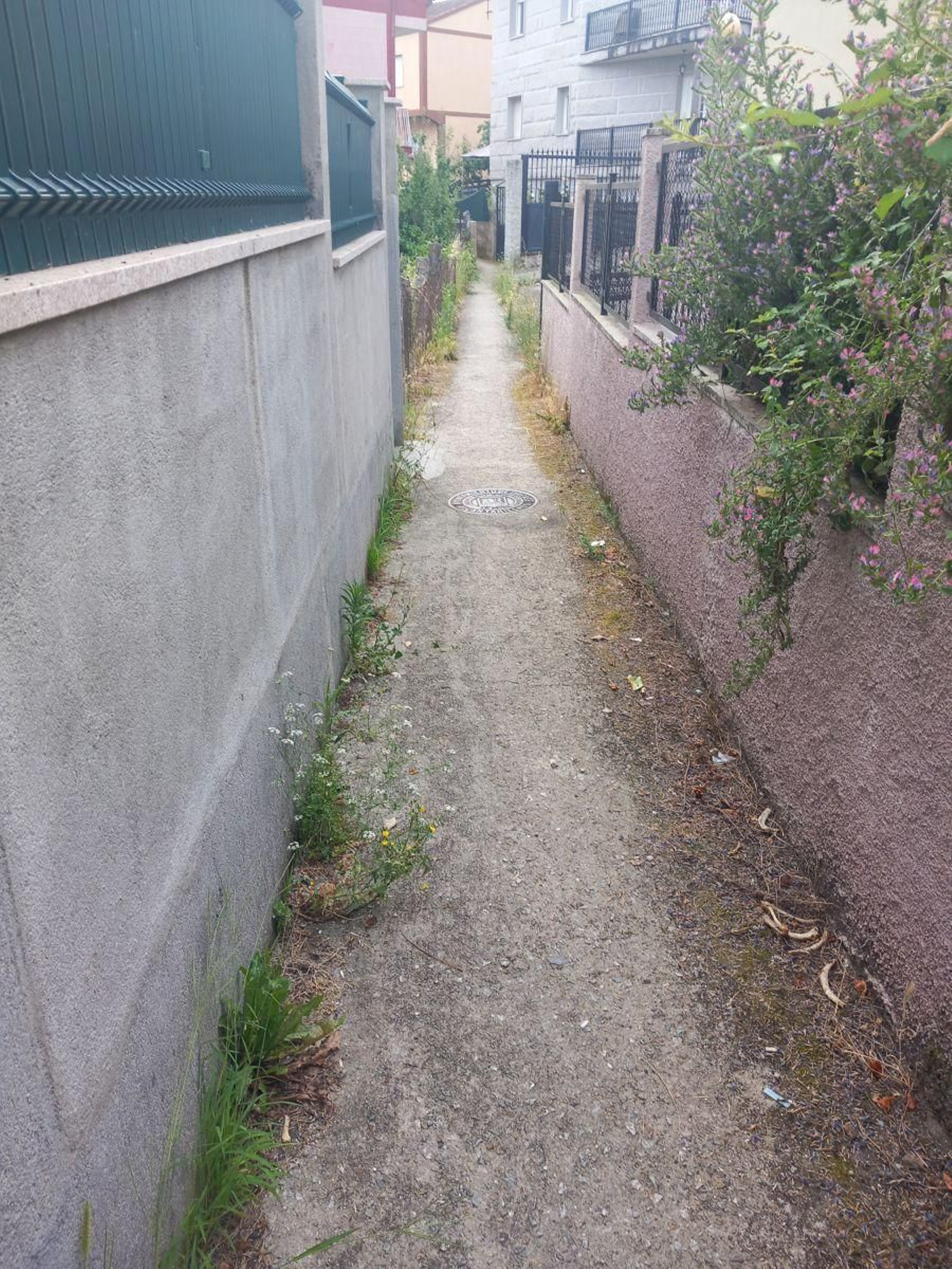 Camino olvidado