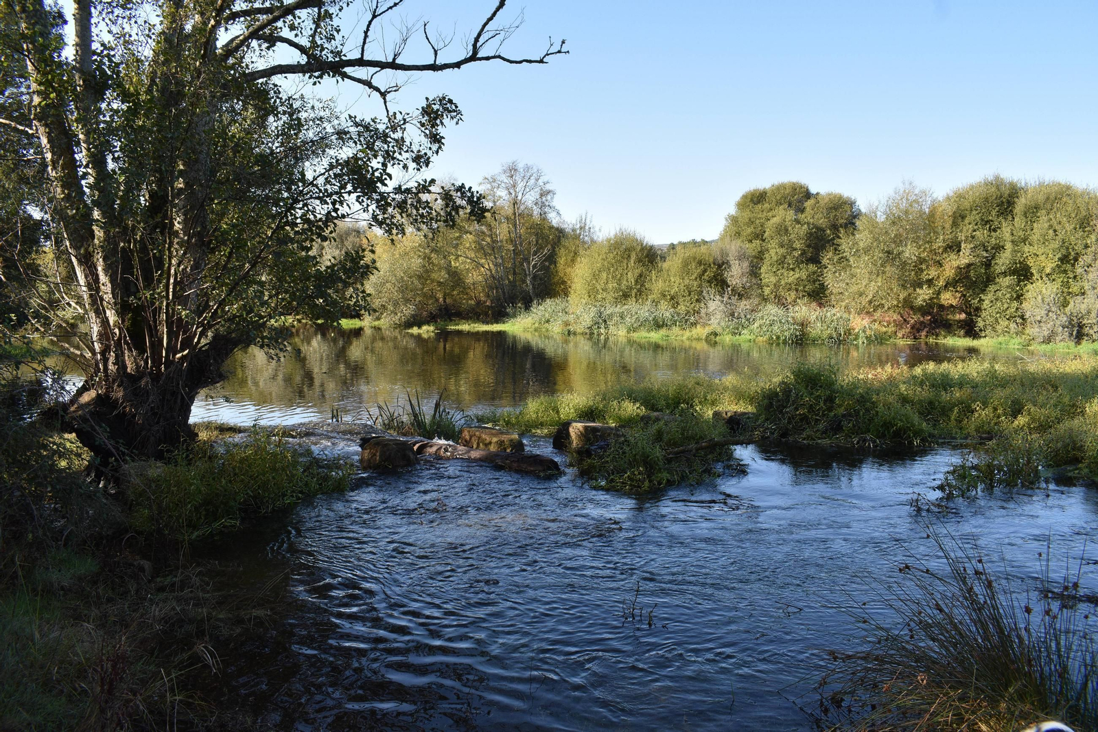 O río Támega, cruzando a raia da Eurocidade Verín-Chaves