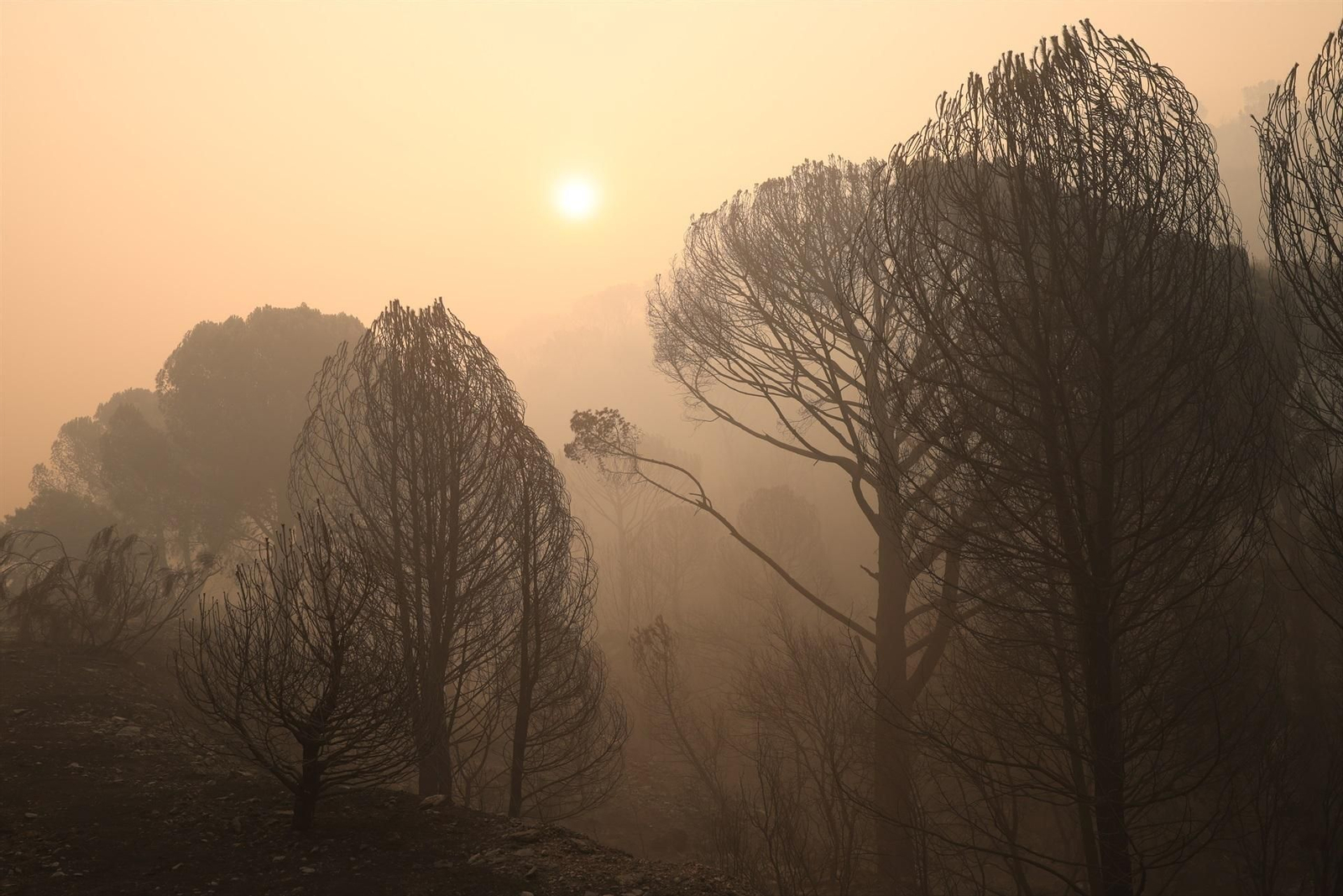 El humo de los incendios forestales de Madrid.
