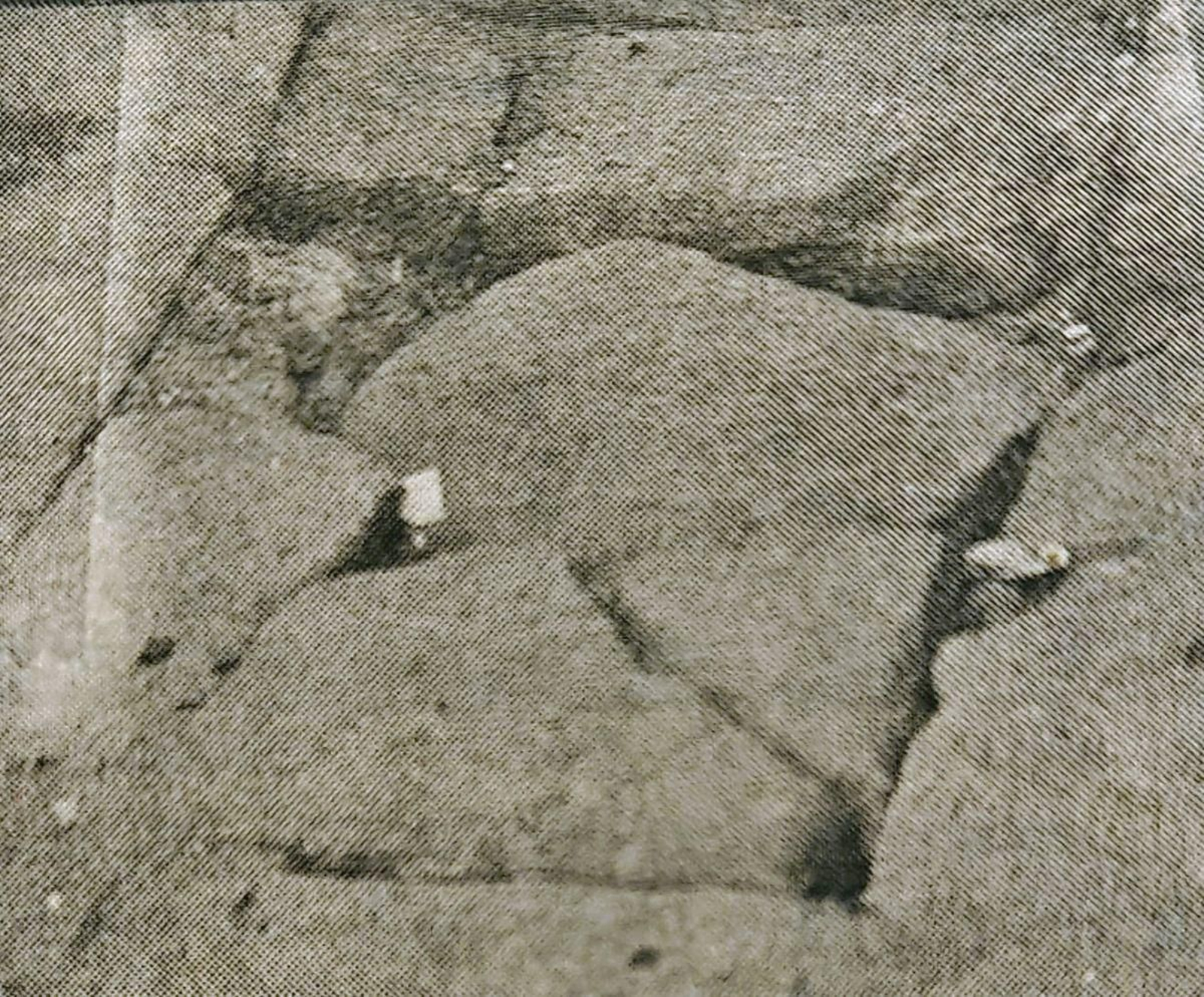 Desperfectos en la calle de la Luna.