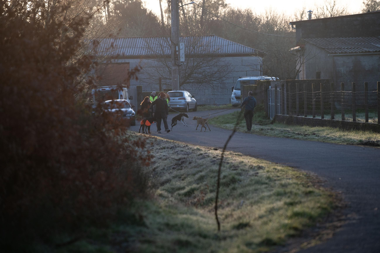 Galería | El mushing acerca los deportes de invierno a Ourense