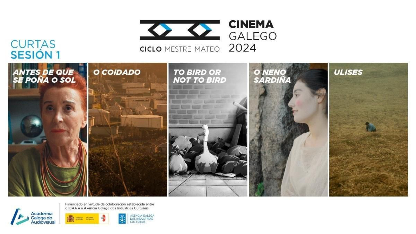 Ciclo Mestre Mateo 2024.