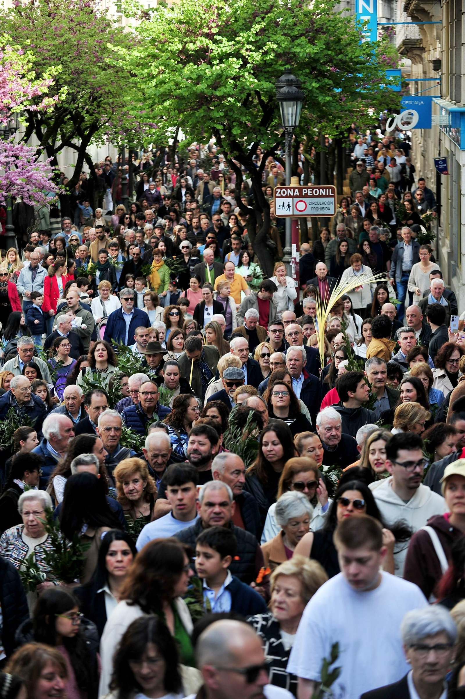 Galería | El Domingo de Ramos, primera gran muestra de devoción popular en Ourense