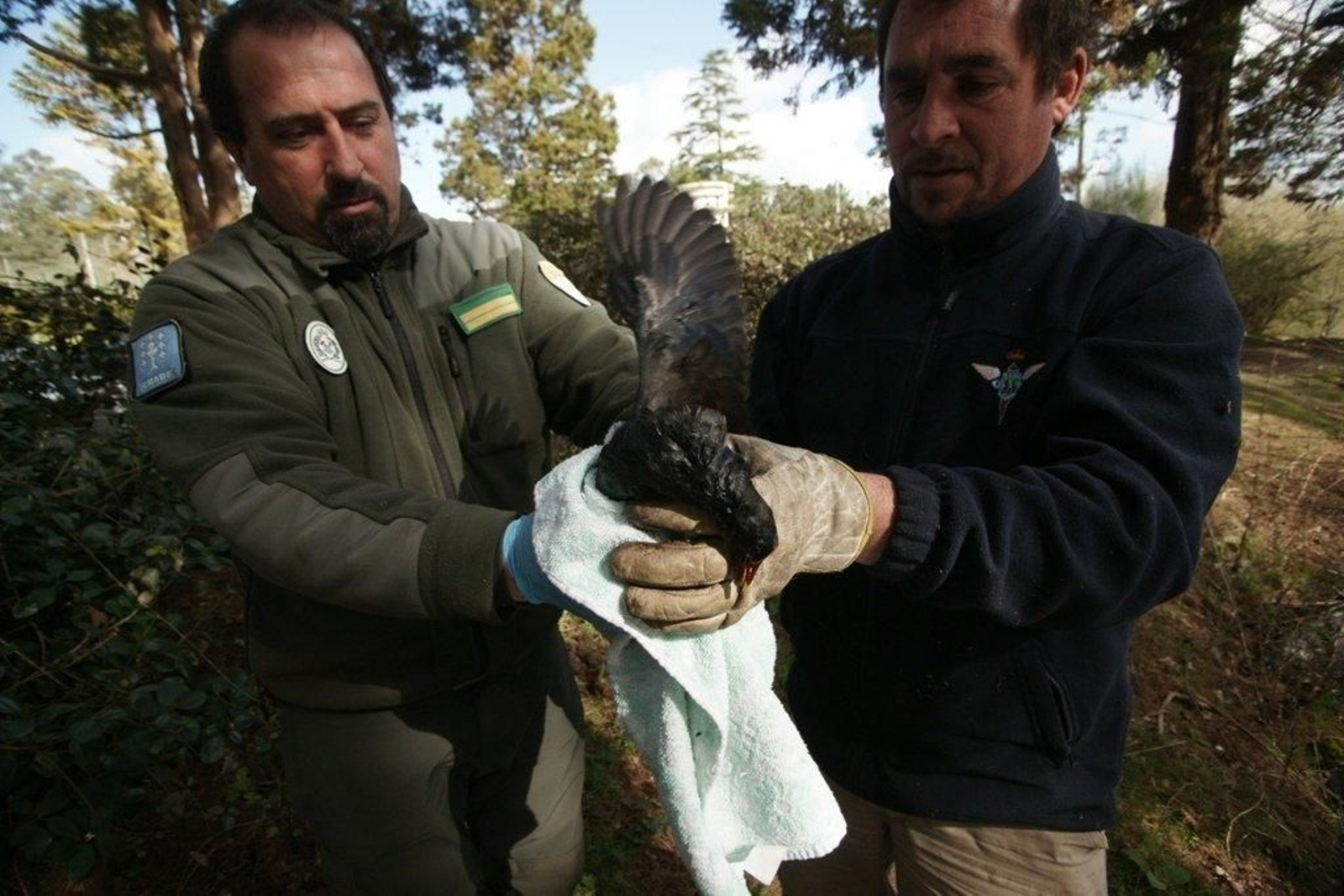 Vertido en el río Lagares Foto Vicente  09
