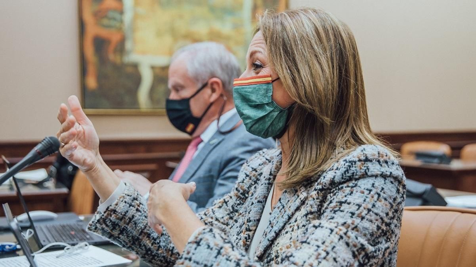 La diputada Reyes Romero durante la presentación de la iniciativa de 2022