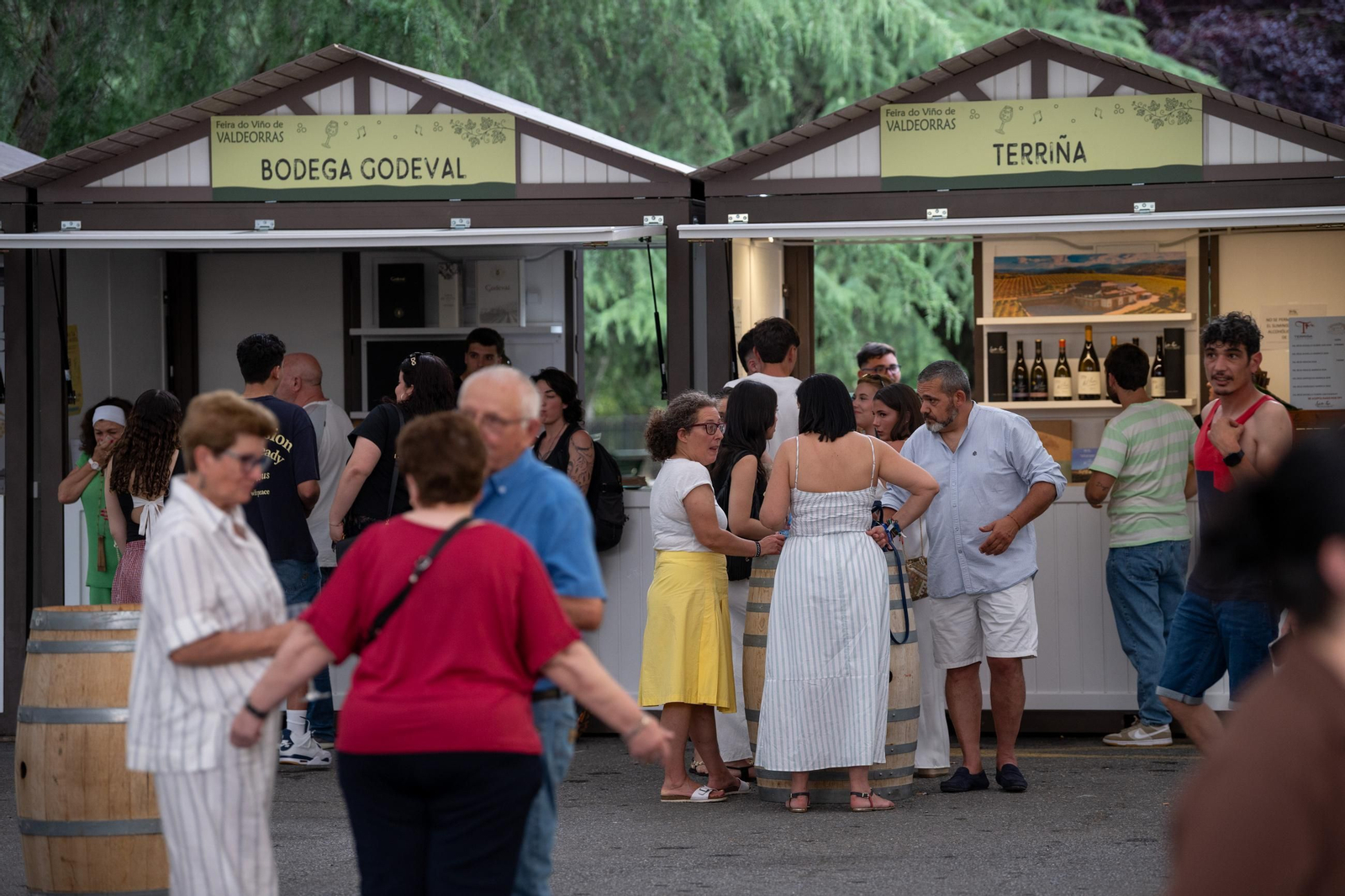 Galería | Valdeorras disfruta con la XXVII Festa do Viño