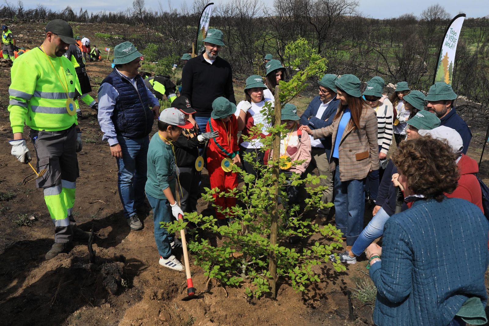 Galería | Numerosos niños reforestan A Caridade tras los incendios del pasado agosto