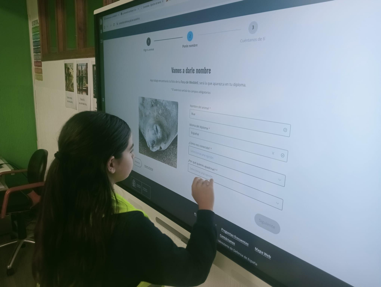 Los Ecovigilantes apadrinan pingüinos en la Antártida