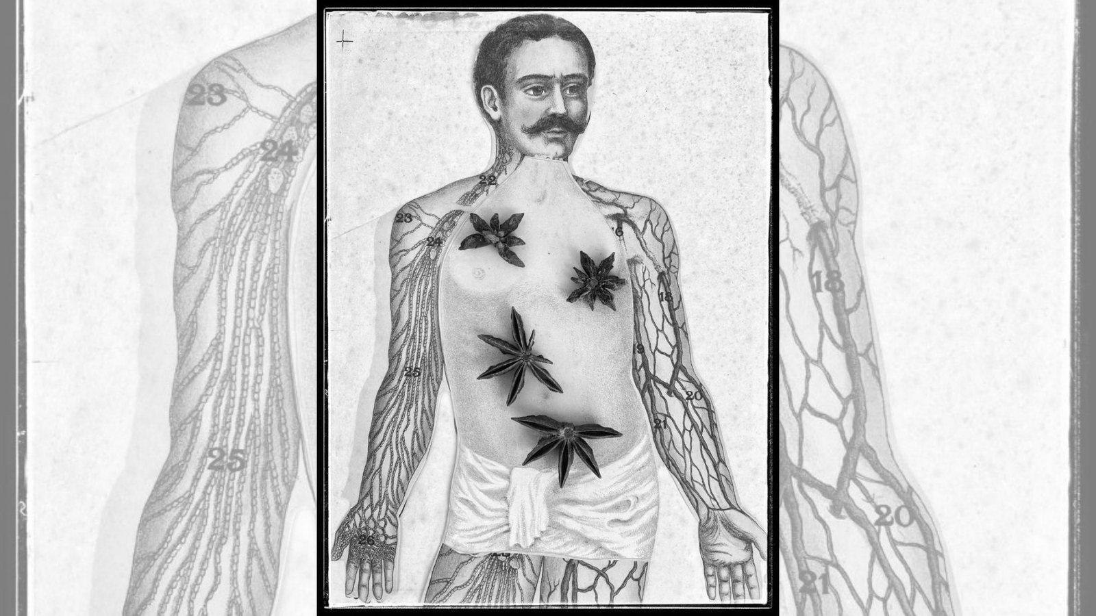 A tiranía do bufón.