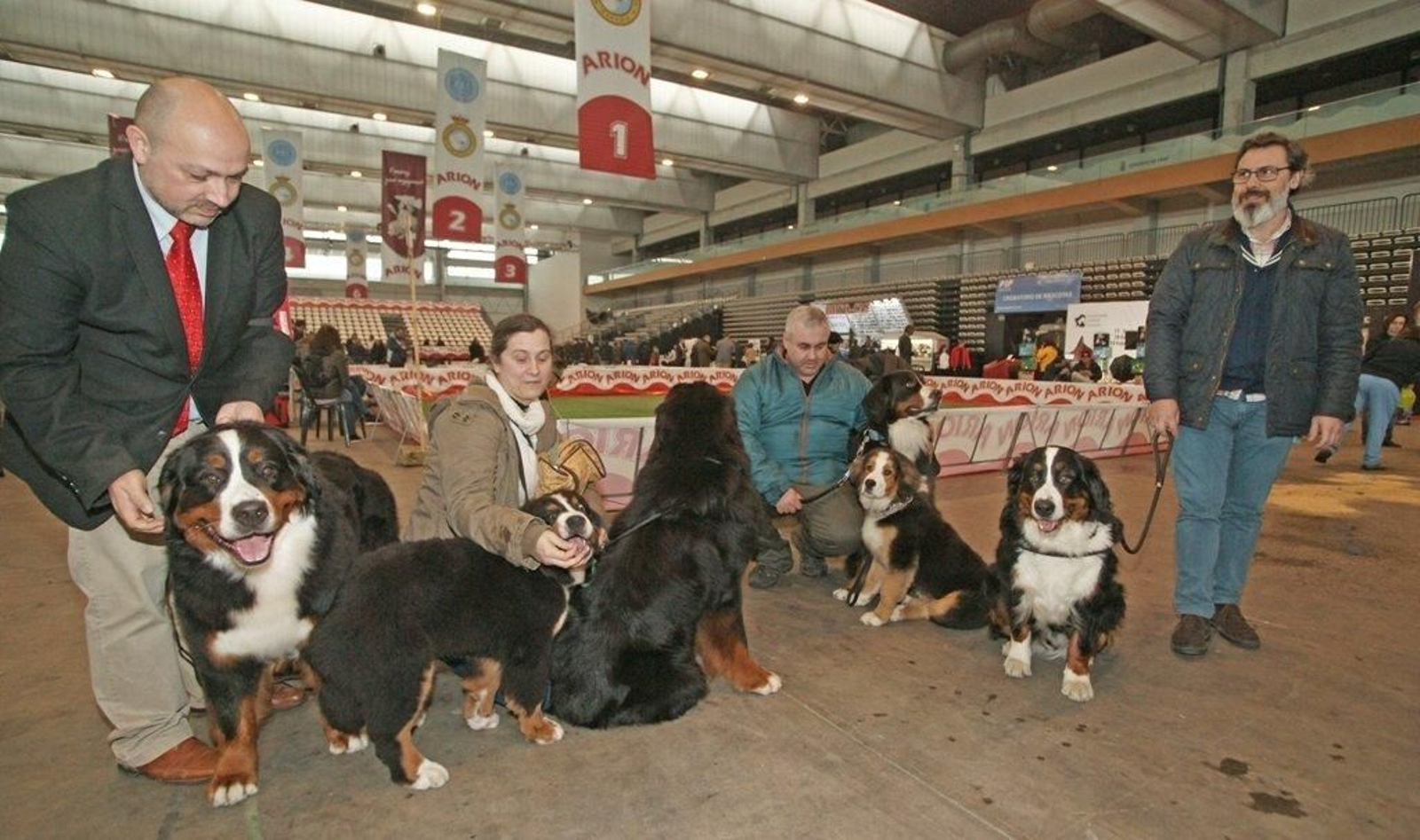 Exposición Canina en el Ifevi Foto Vicente05