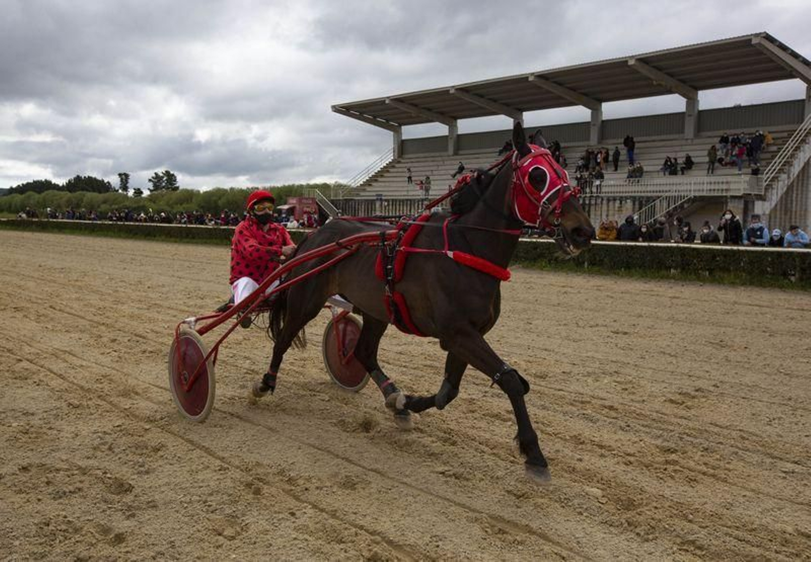 El hipódromo de Antela acogió la Copa Deputación de Hípica en modalidad de velocidad y trote en el hipódromo de Antela (Fotos: Xesús Fariñas)