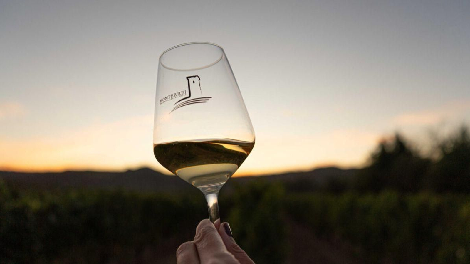 Copa de vino con el logo de la D.O. Monterrei.