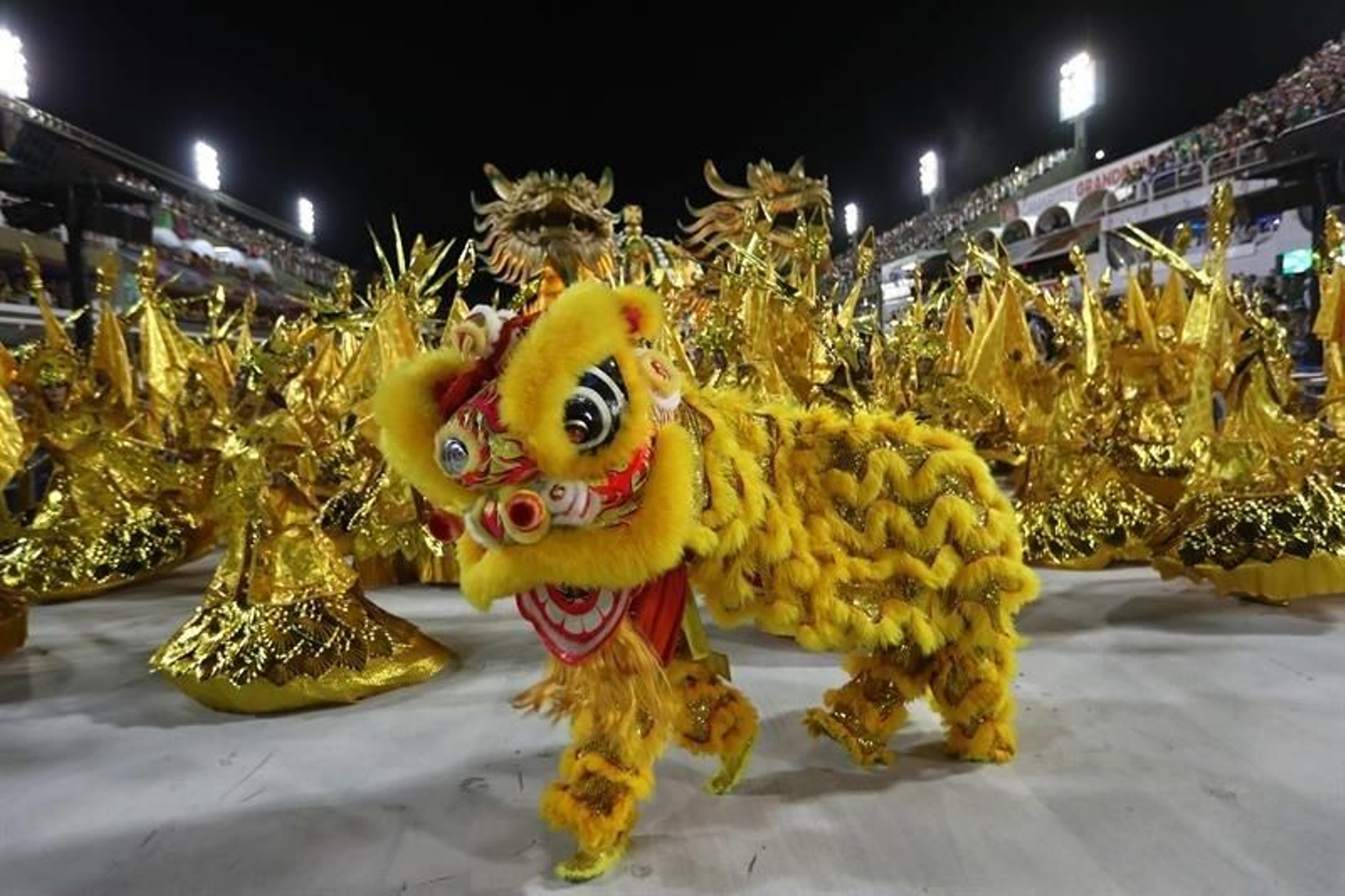 Celebración del carnaval en Río de Janeiro 07