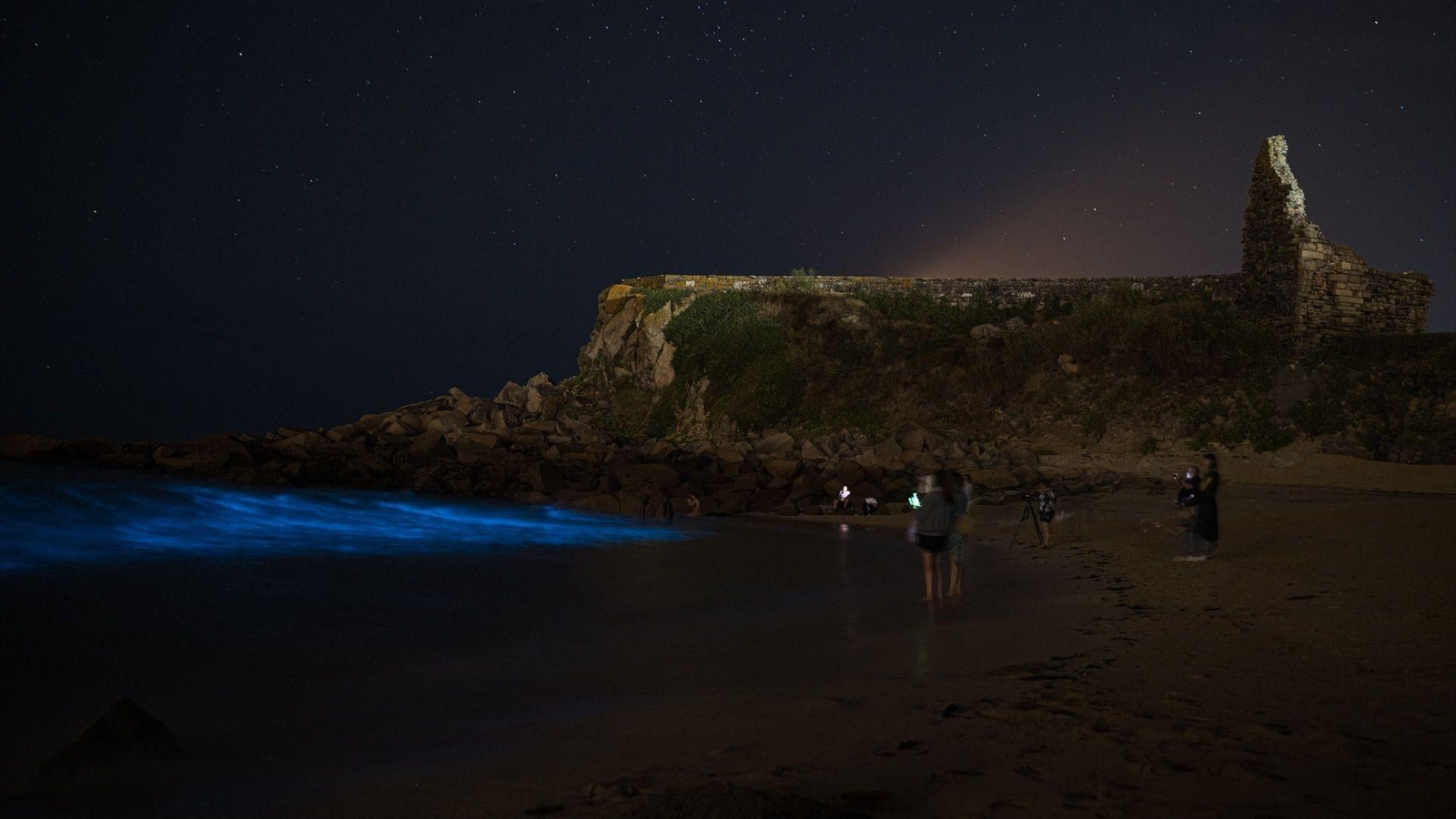 Mar de Ardora en la playa de A Lanzada, a 15 de julio de 2026, en una imagen de archivo.