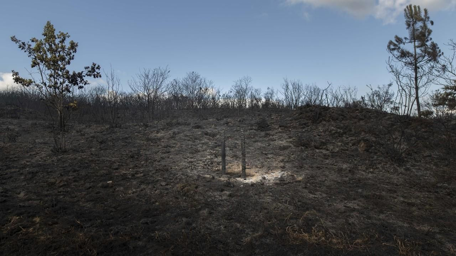 El fuego arrasó el castro de Xurenzás, en Boborás.