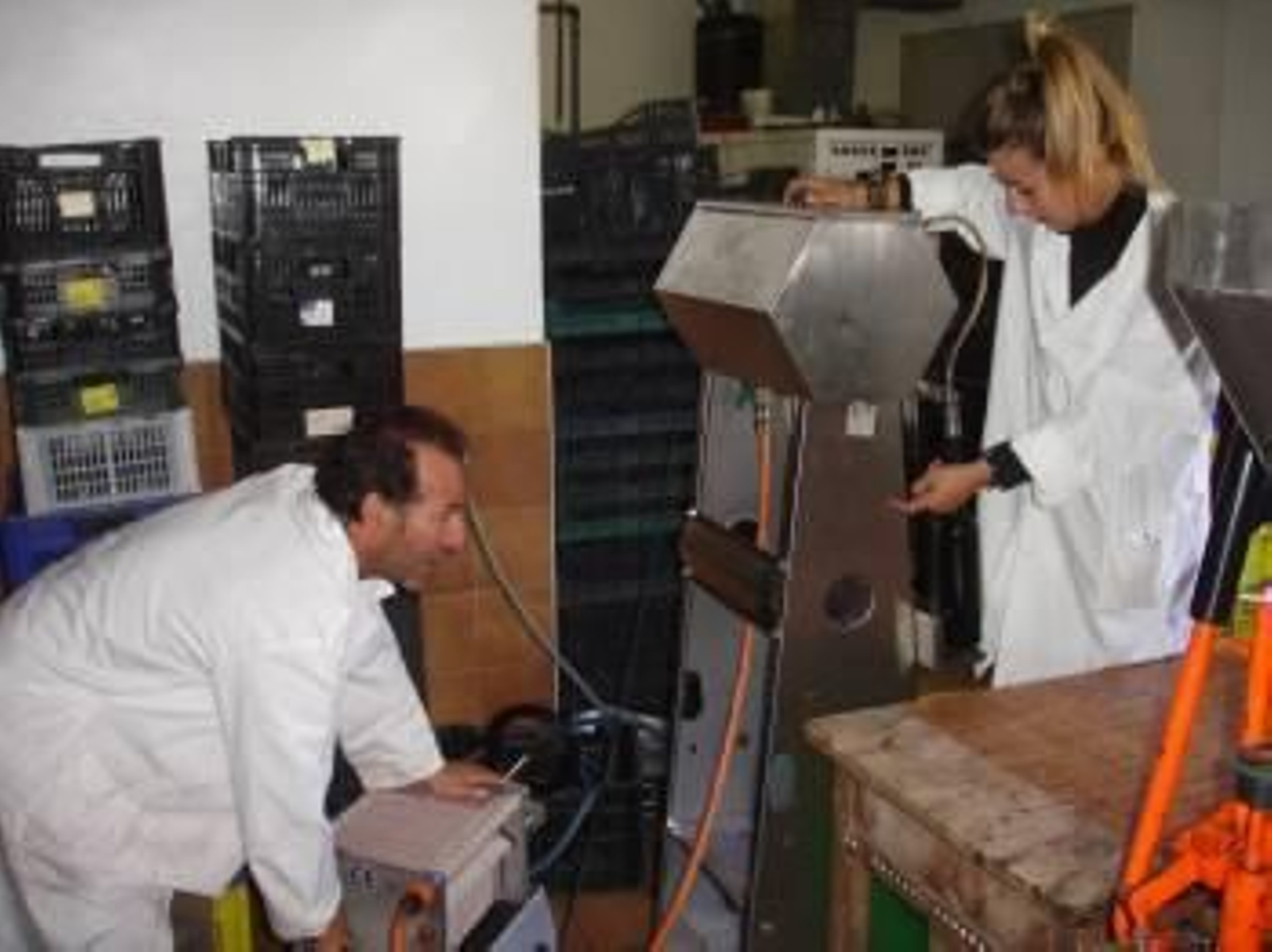 Experiencia con vino de mencía para la Universidad de Lugo.
