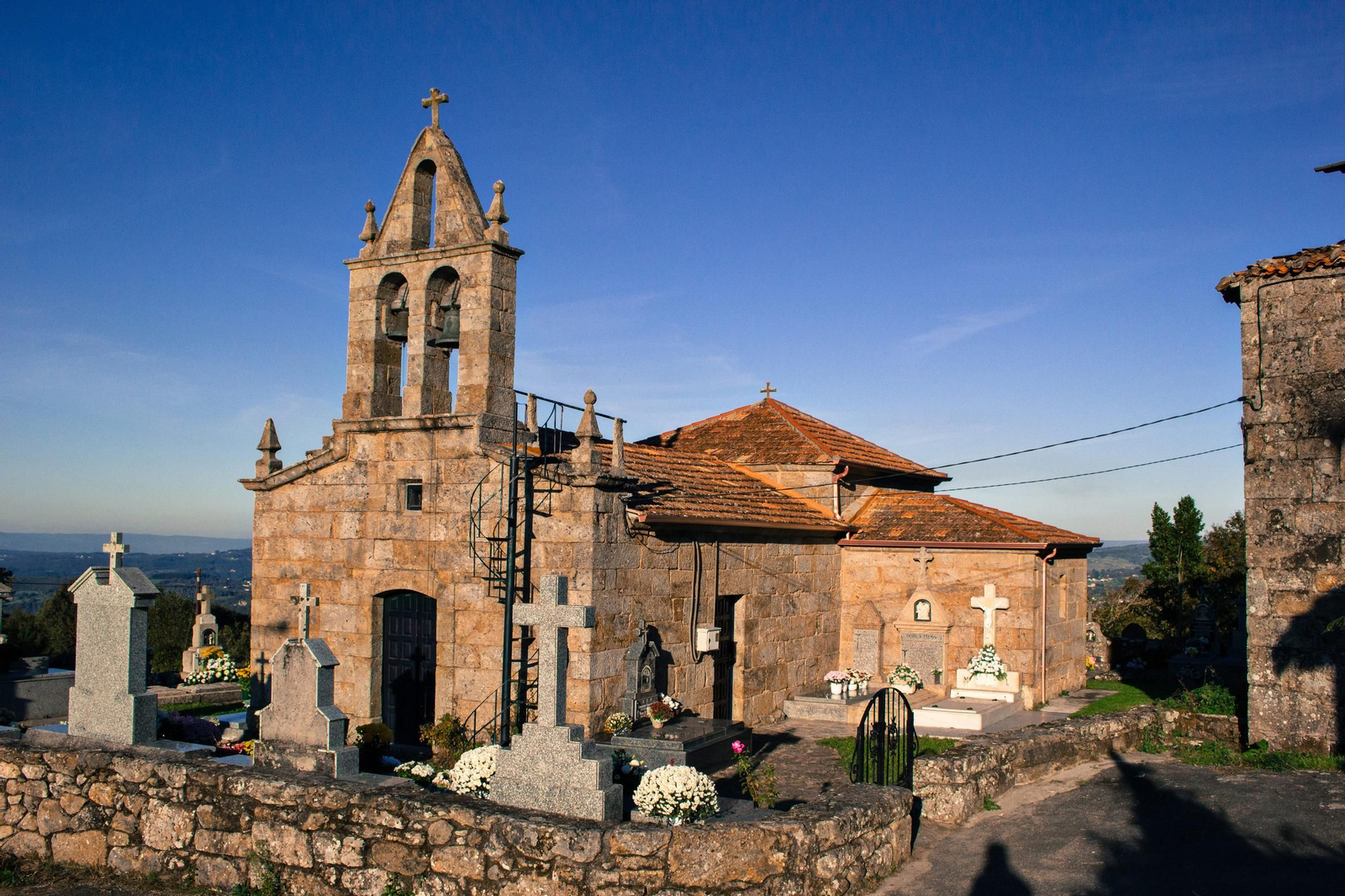 Imagen de Cañón, ubicación de la planta mencionada