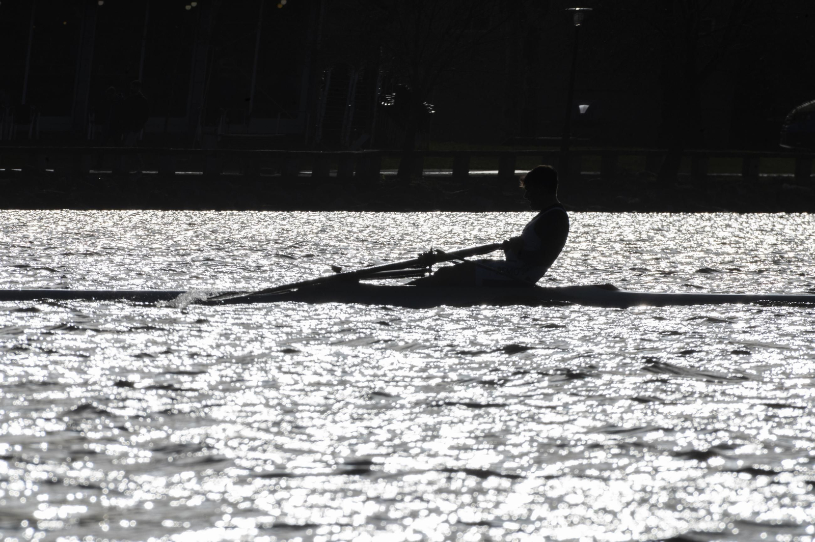 Galería | Castrelo de Miño disfruta con el Campeonato Gallego de Remo de larga distancia