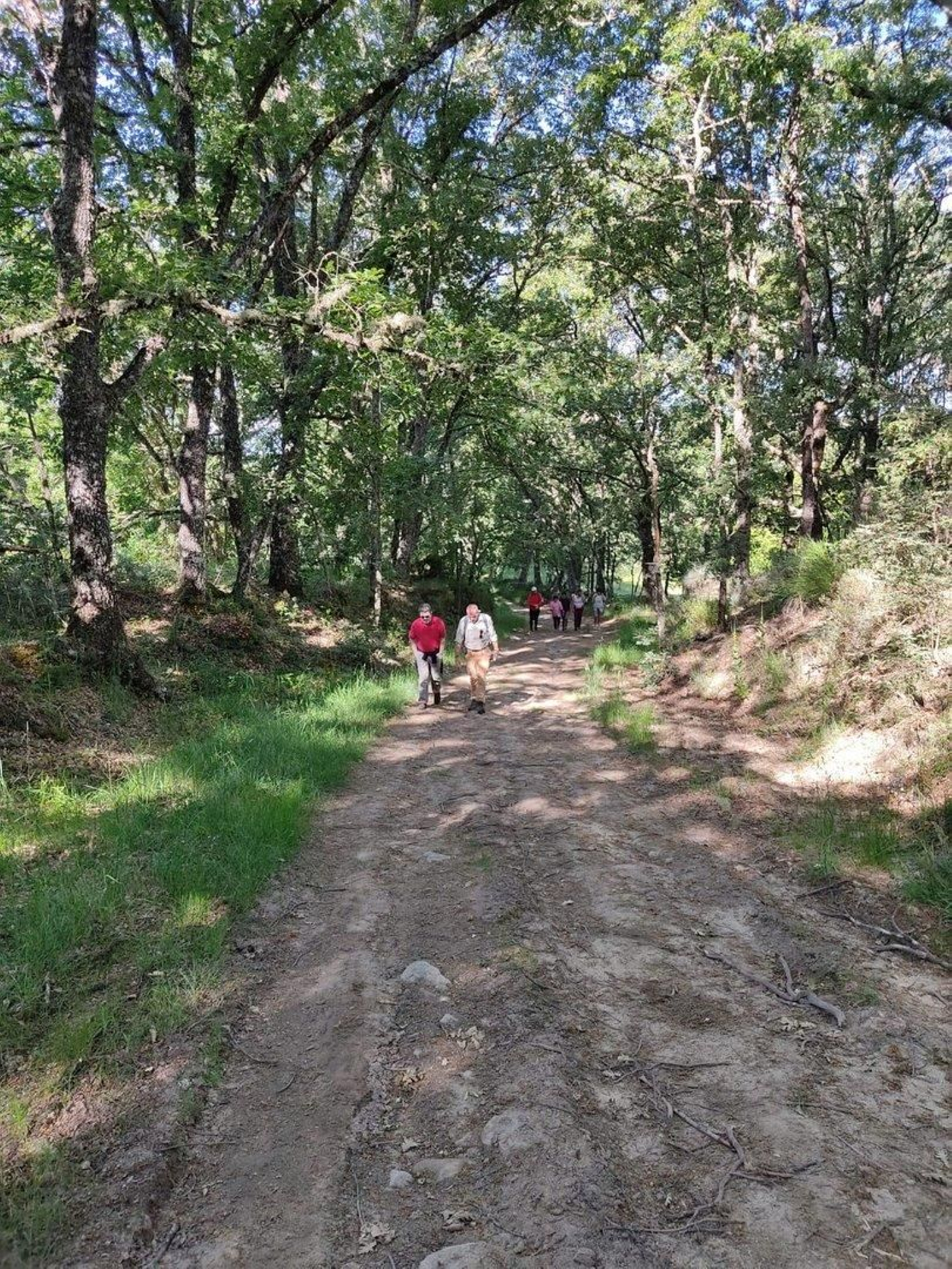 Senderos y caminos.