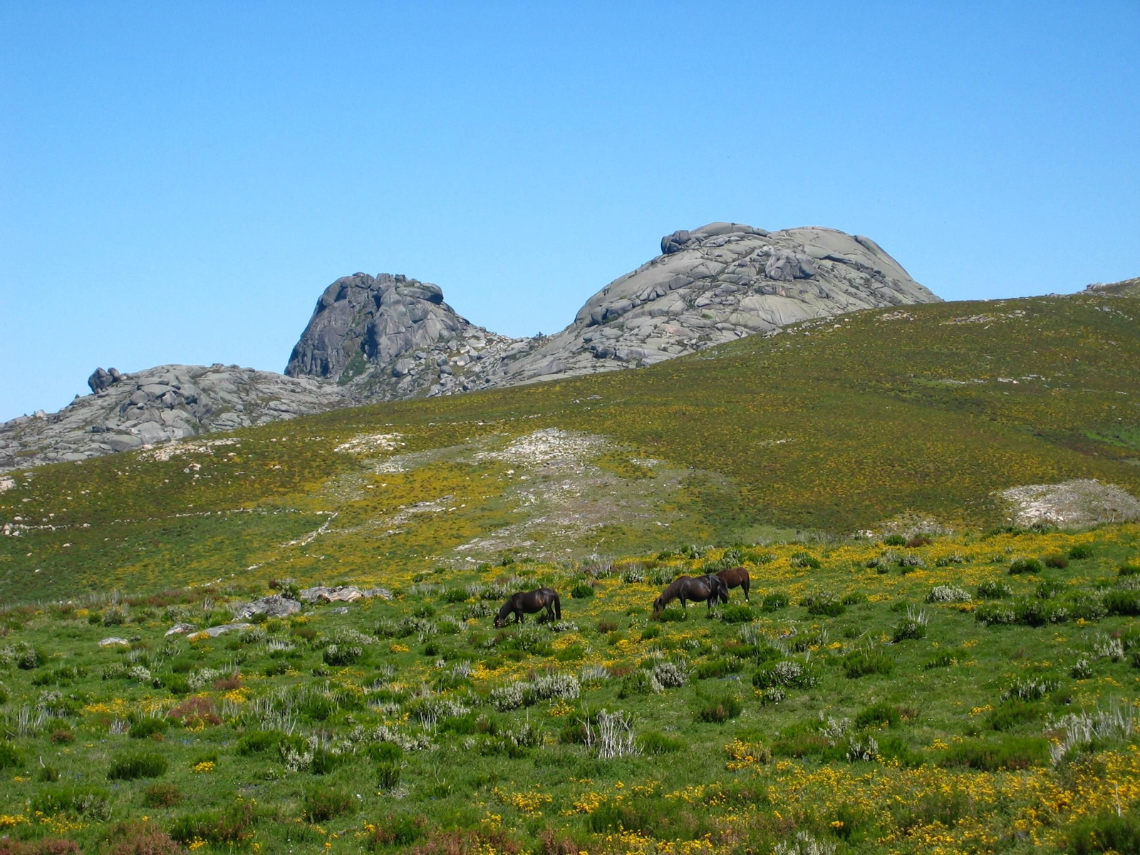 Pena de Anamán (Entrimo).