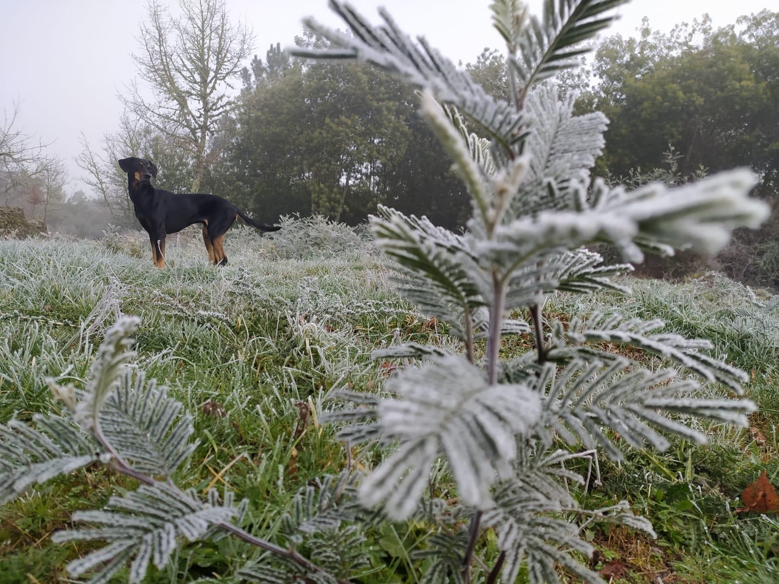 Jornada de frío en la provincia