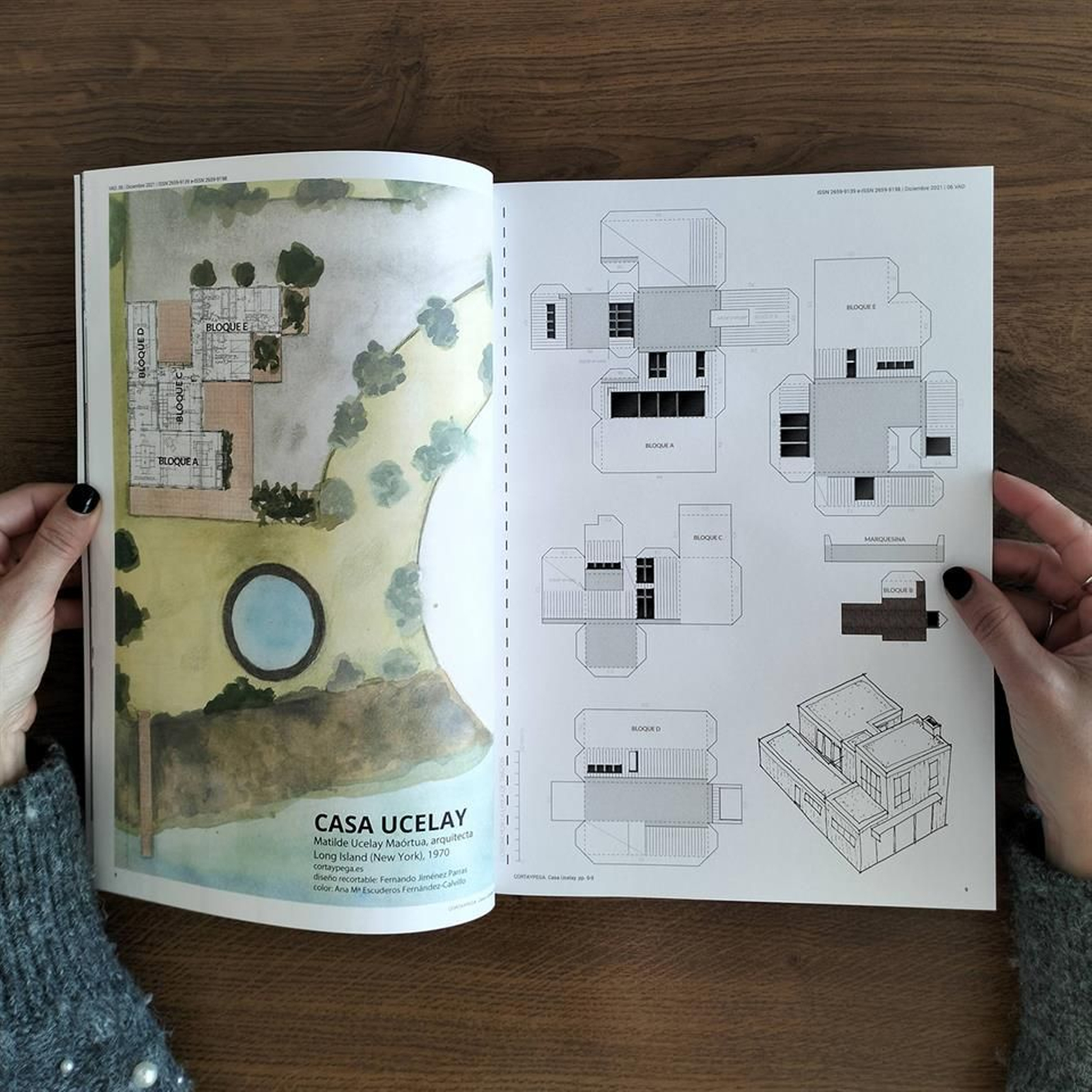 Veredes. Arquitectura y divulgación las precursoras. (FOTO:COAG)