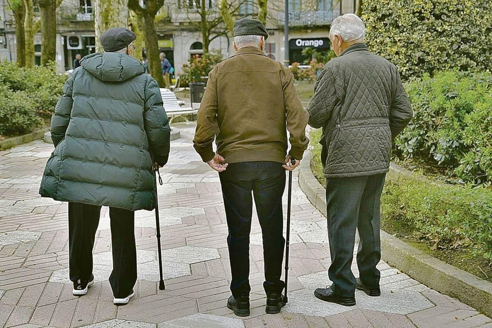 El nuevo perfil estaría orientado al desarrollo de ciudades y comunidades amigables con las personas mayores.