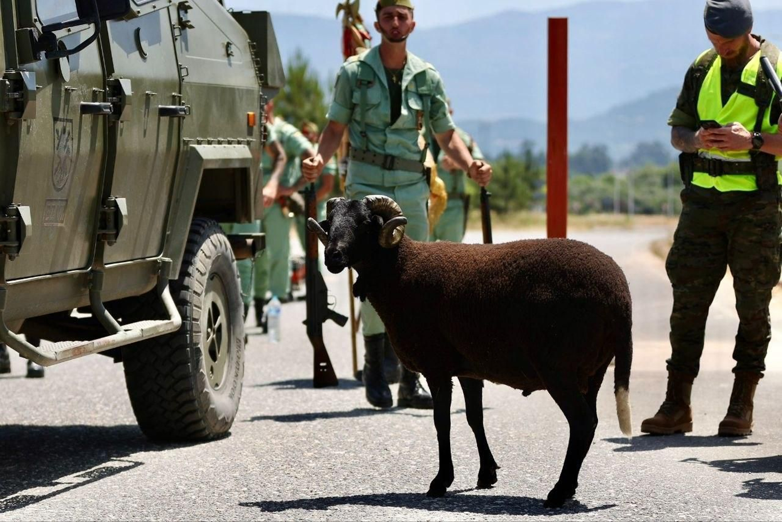 Galería | Ensayos para el acto central del Día de las Fuerzas Armadas en Vigo