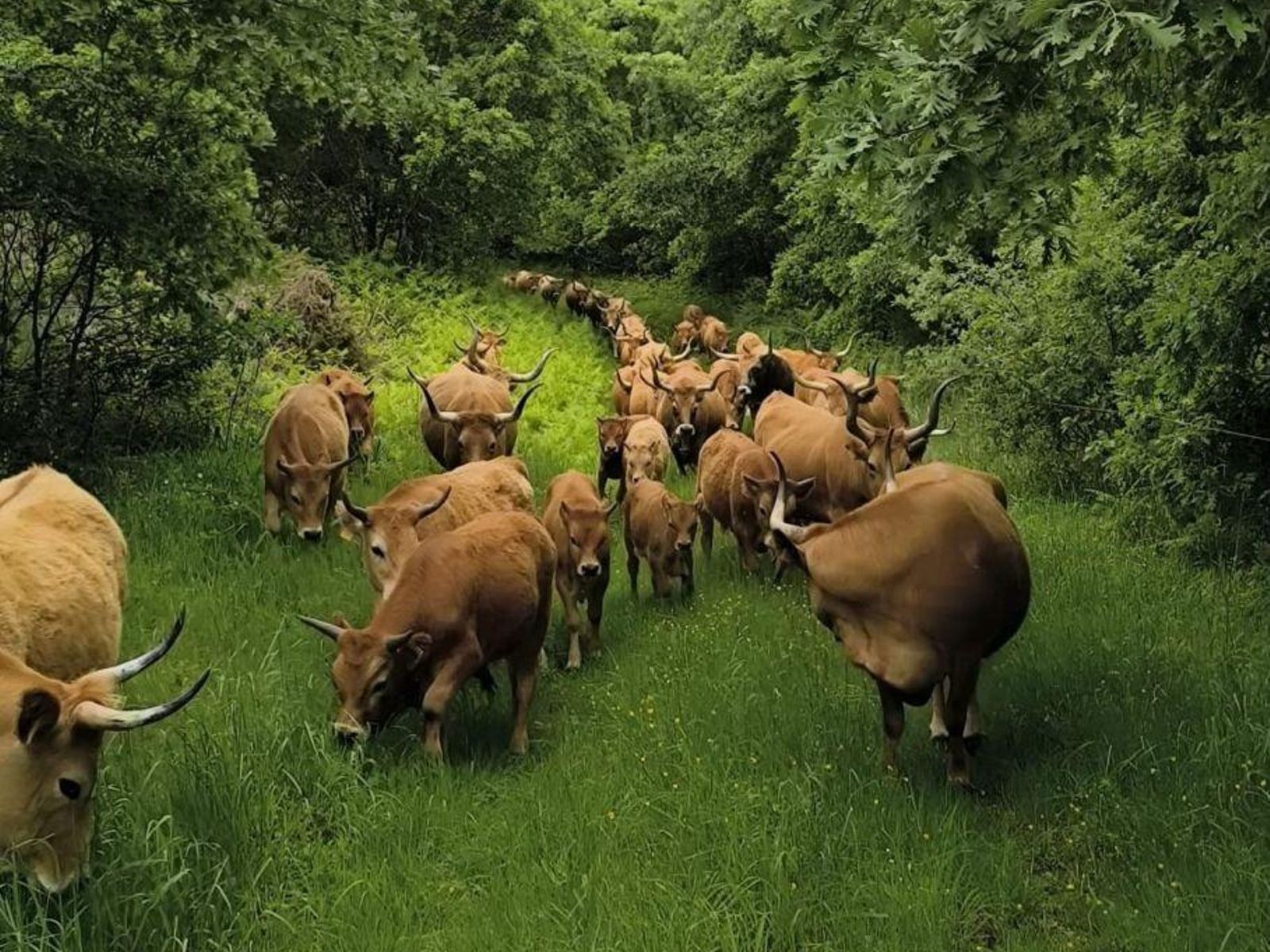 Naturaleza hermosa