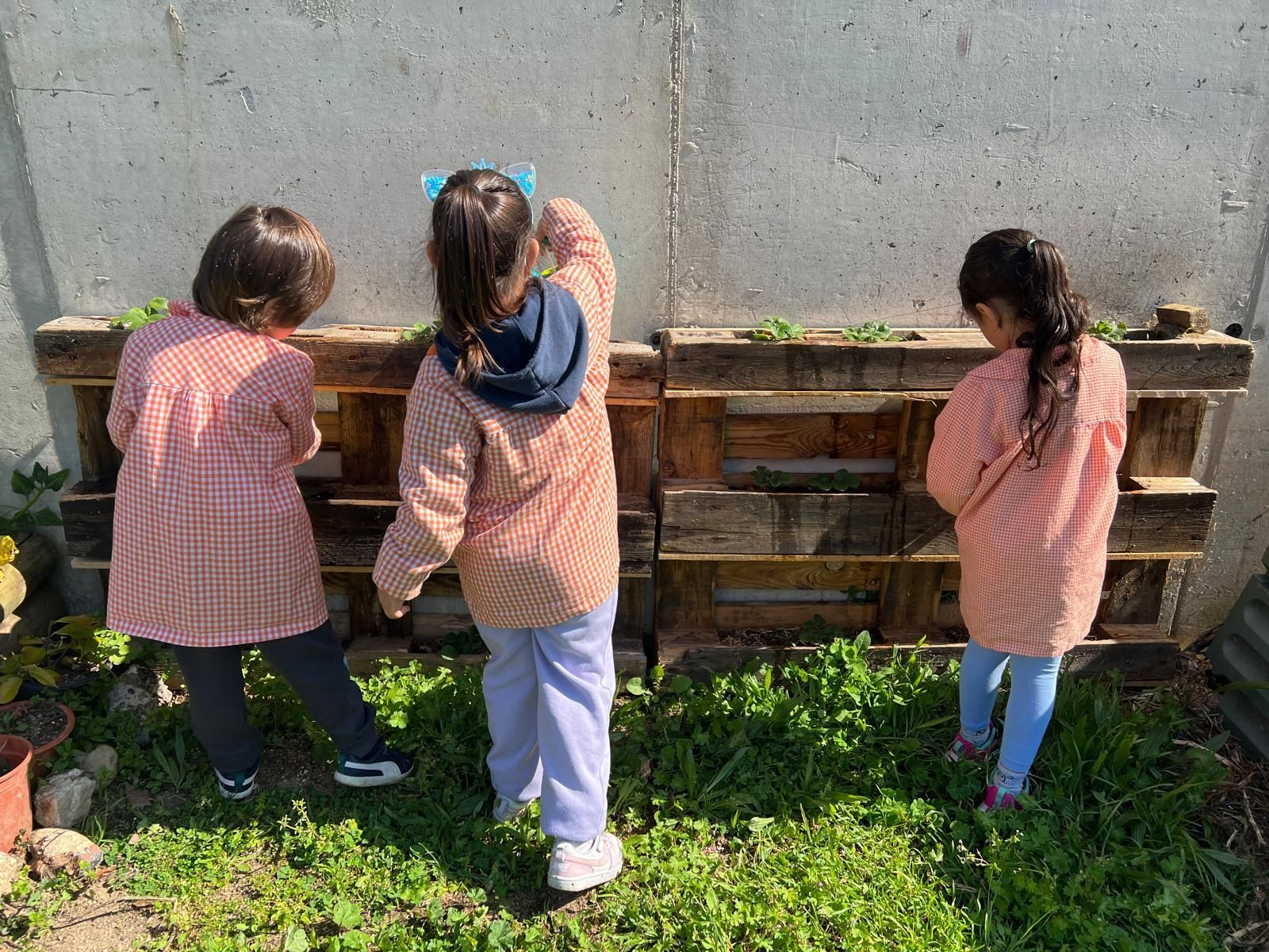 A natureza como mestra no Ruxidoiro