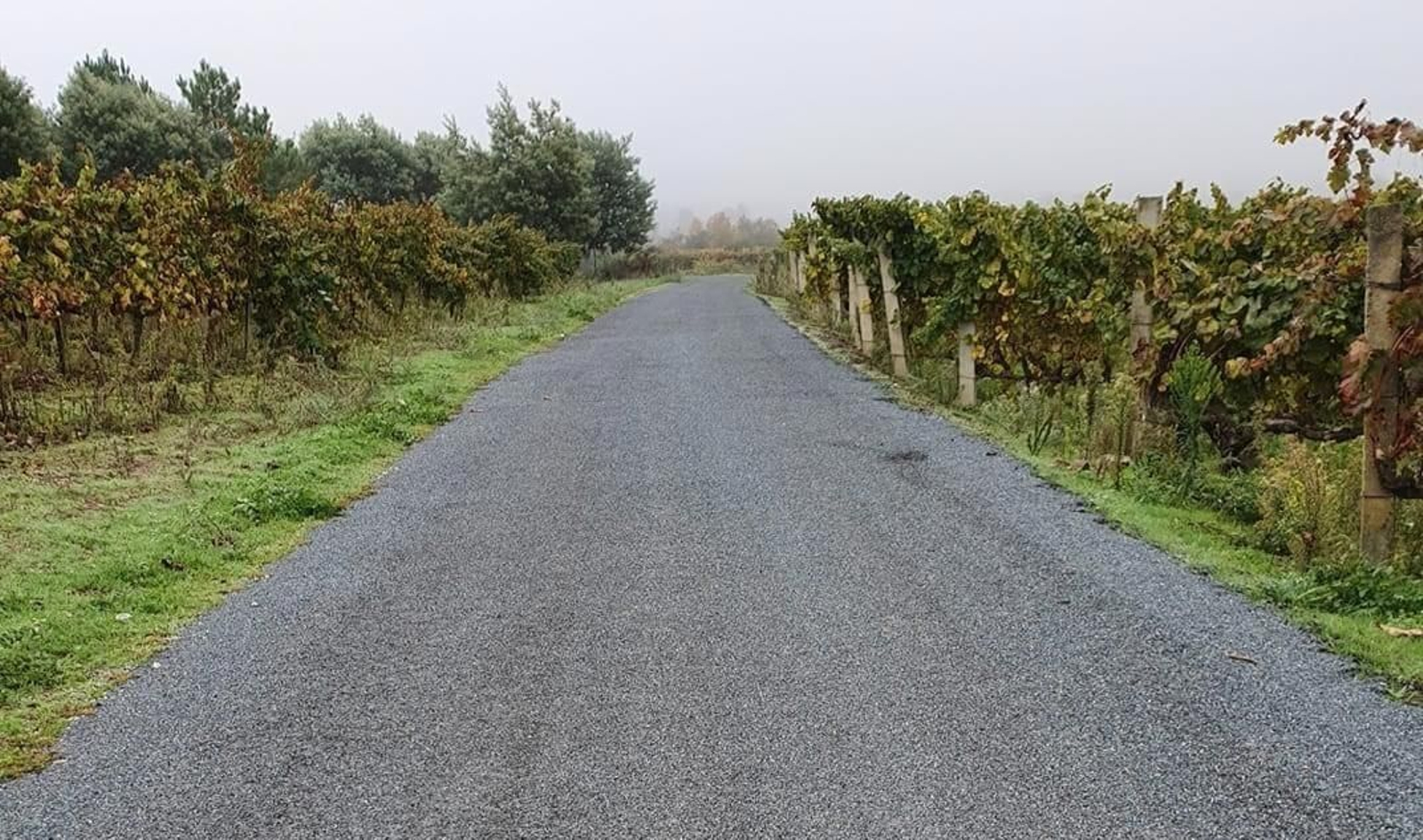 El resultado de la intervención.